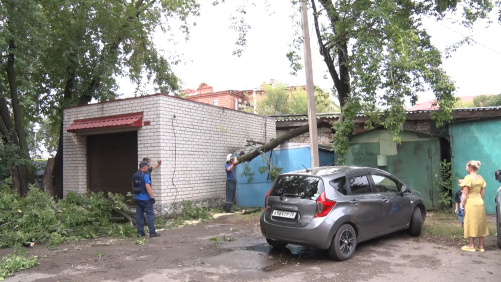 Непогода в Благовещенске повалила деревья на припаркованные автомобили