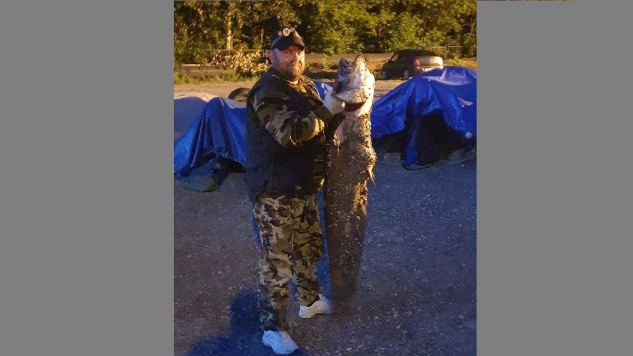 В Самарской области из водоема выловили 30-килограммовое чудище