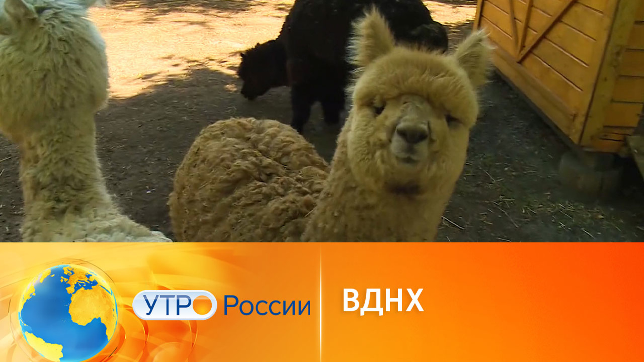 Что посмотреть на ВДНХ