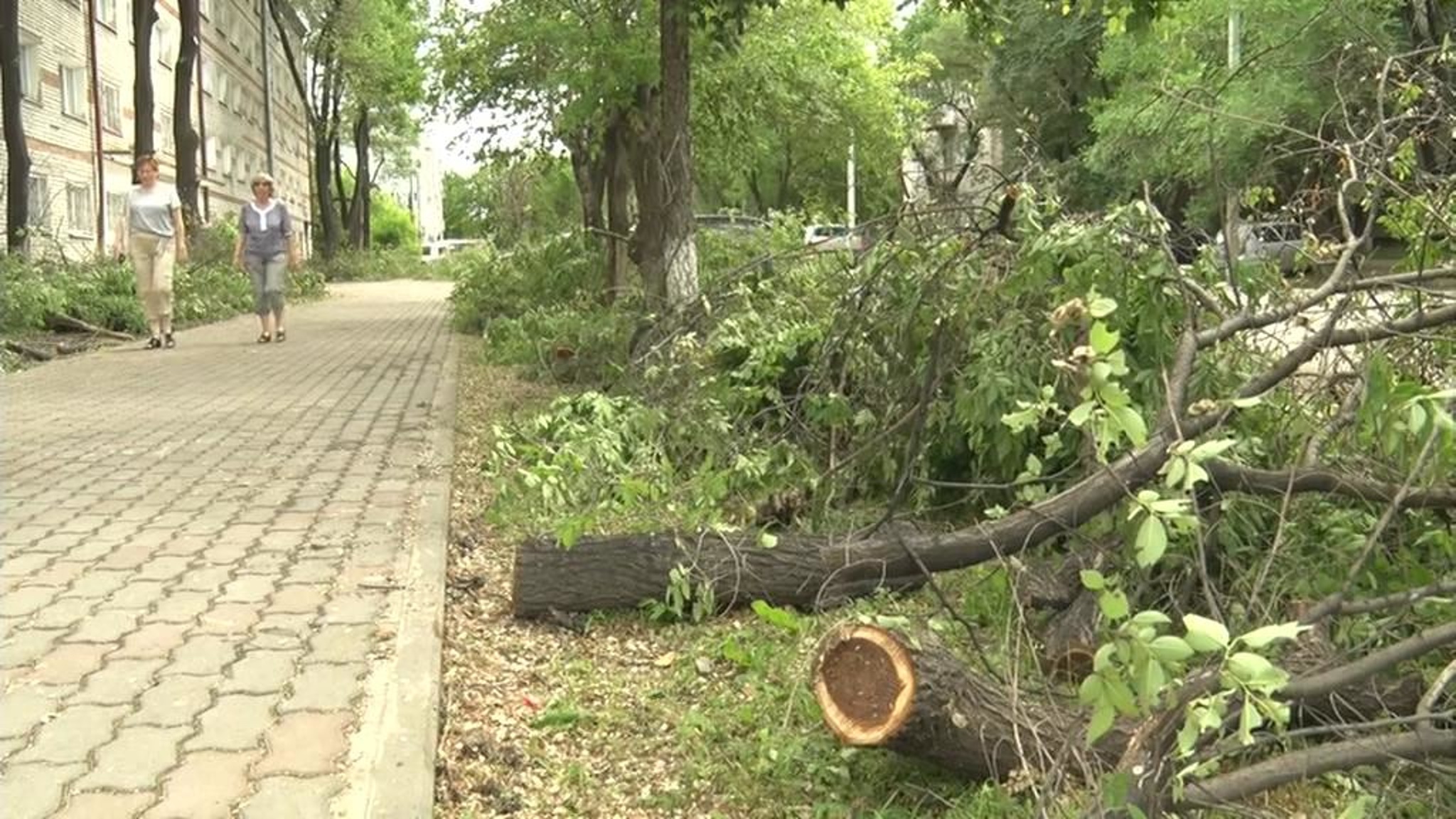 В Благовещенске устраняют последствия урагана, но непогода сохраняется