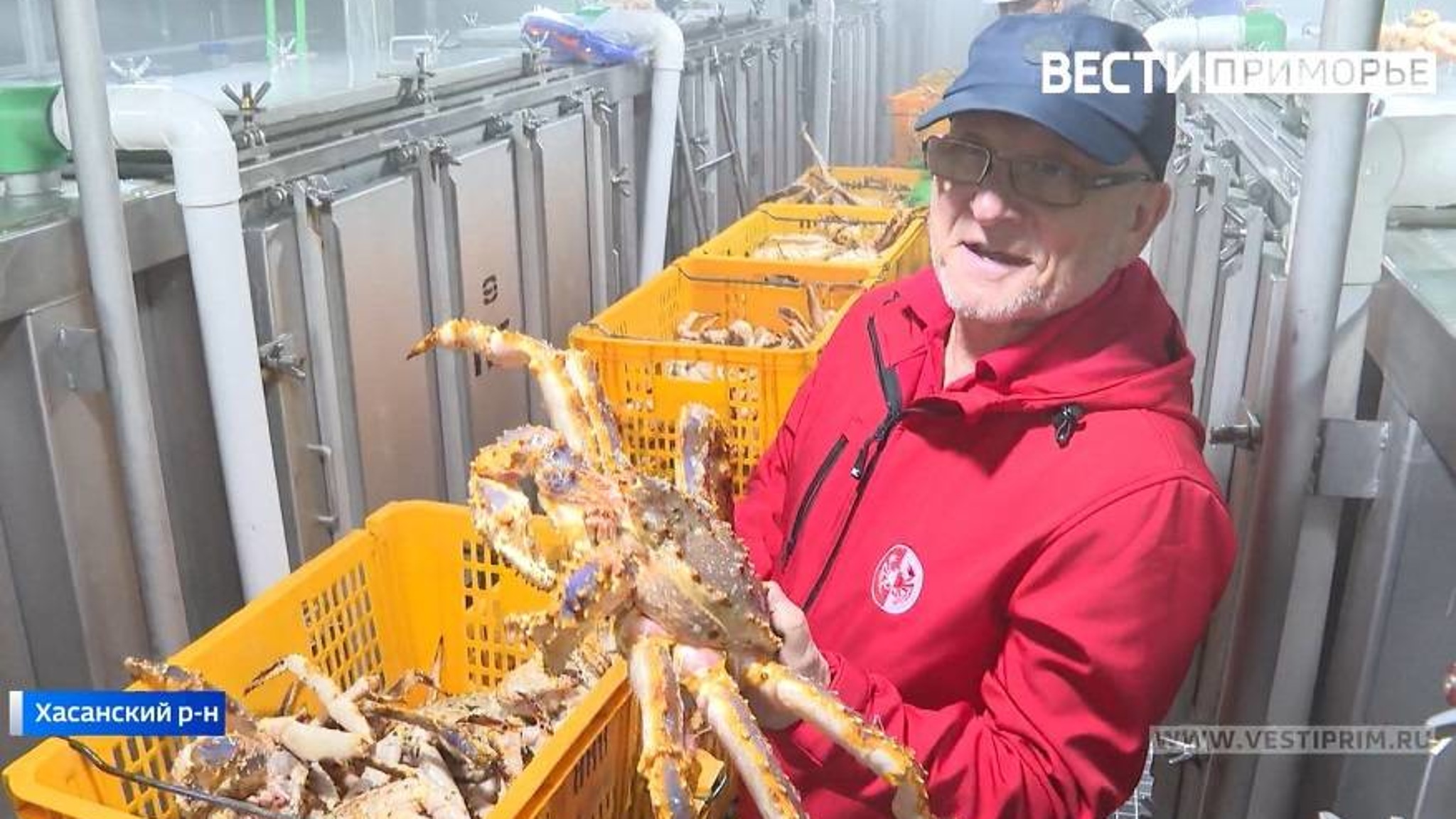 Компания «Русский краб» – лидер в добыче и экспорте морского деликатеса