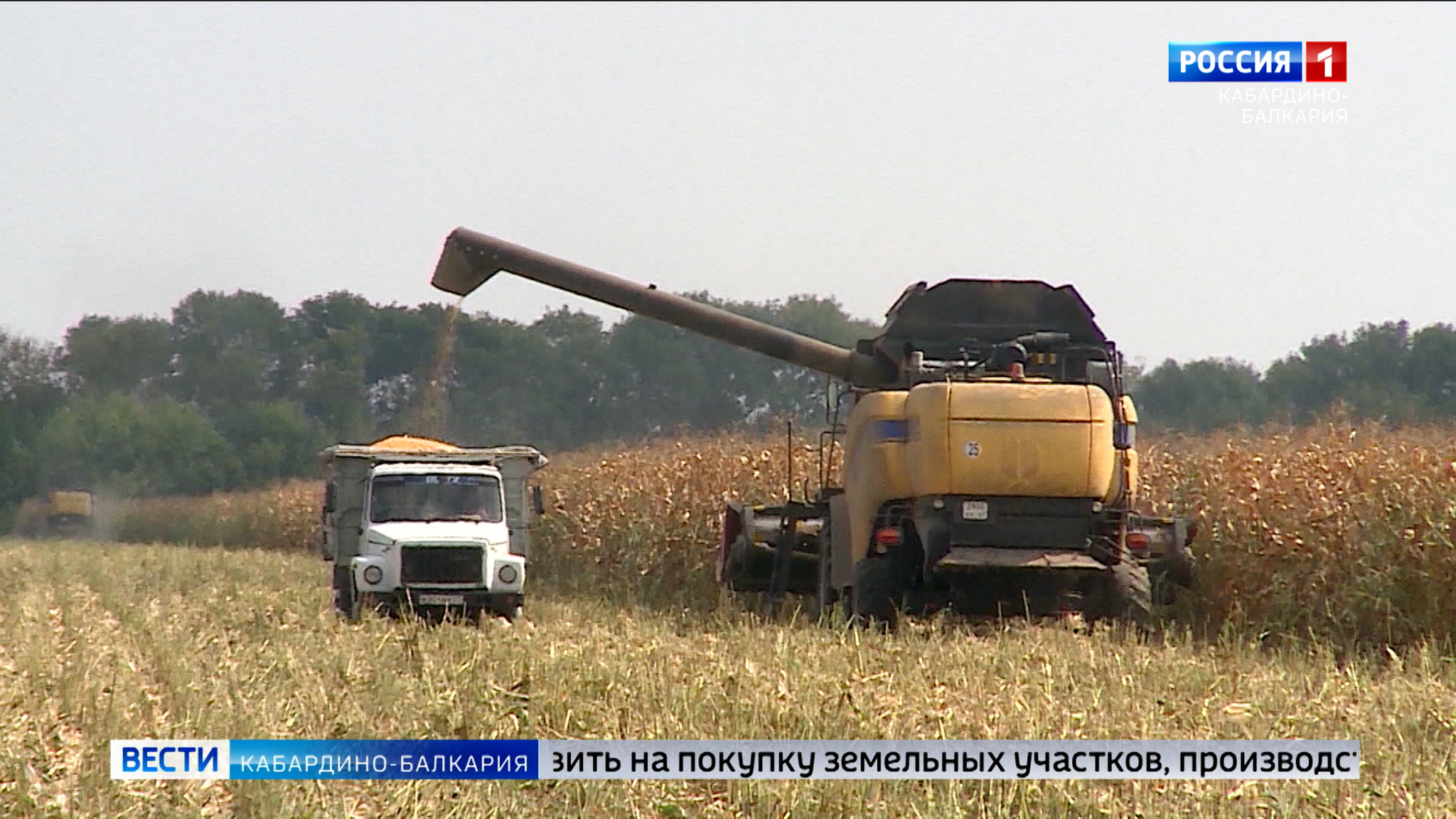 20 фермеров Кабардино-Балкарии получат гранты по программе “Агростартап” в 2022 году