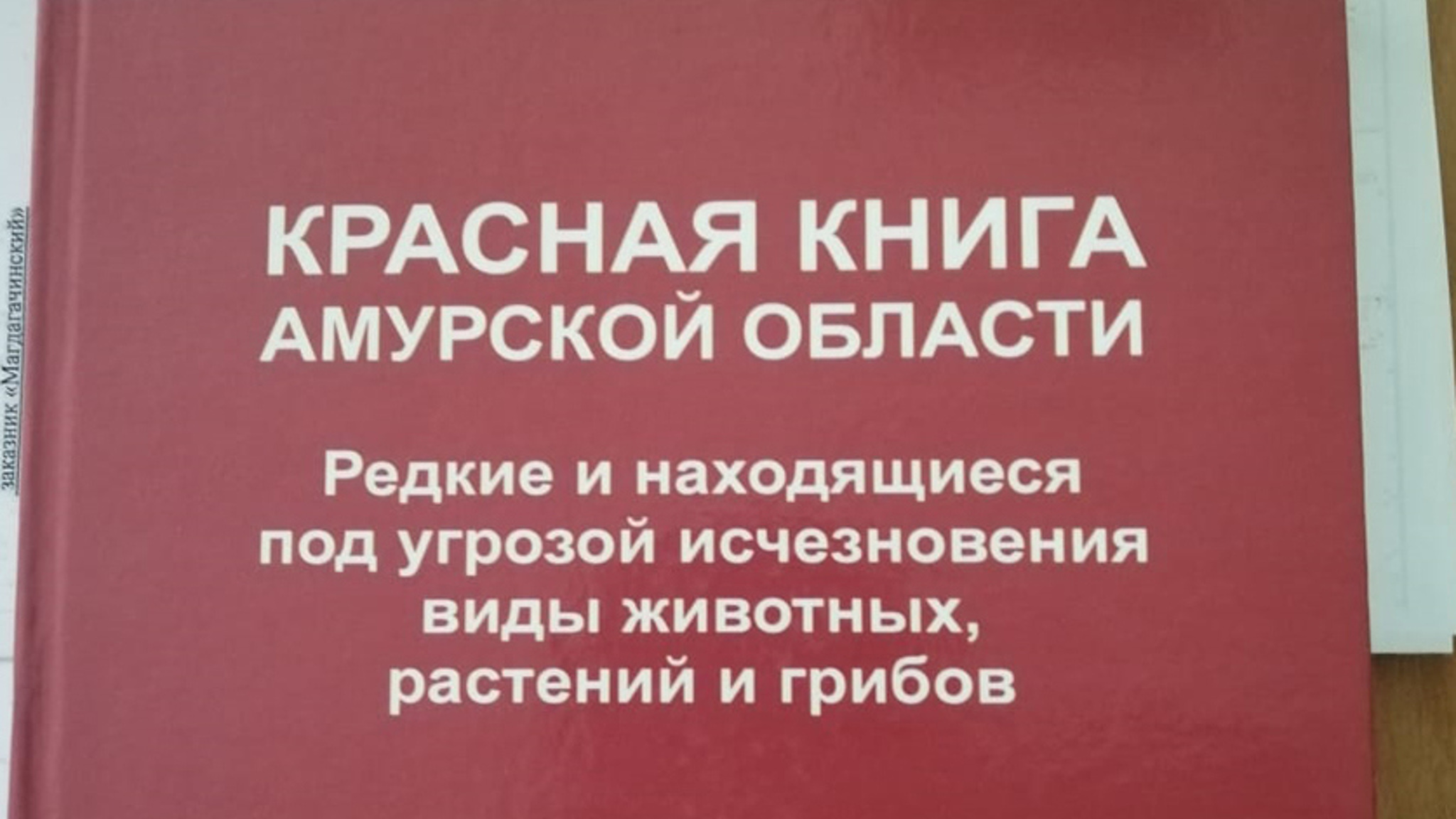 Красную книгу Приамурья могут пополнить новые растения