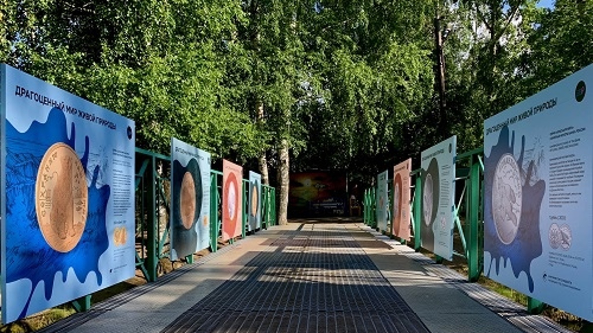 В Марий Эл для детей открылась фотовыставка монет с редкими животными