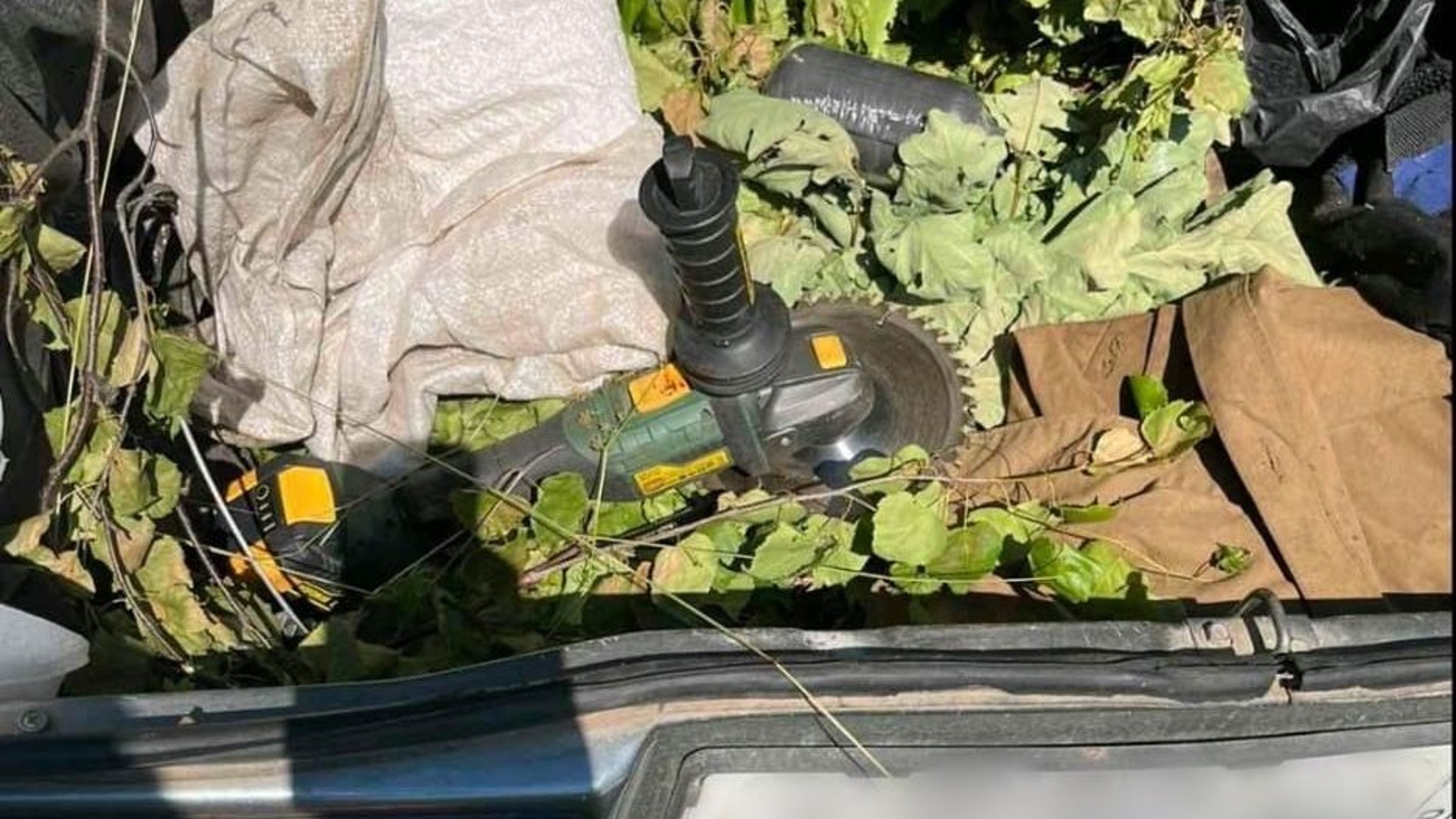 Тело пропавшего мужчины обнаружили в авто на проселочной дороге в Удмуртии