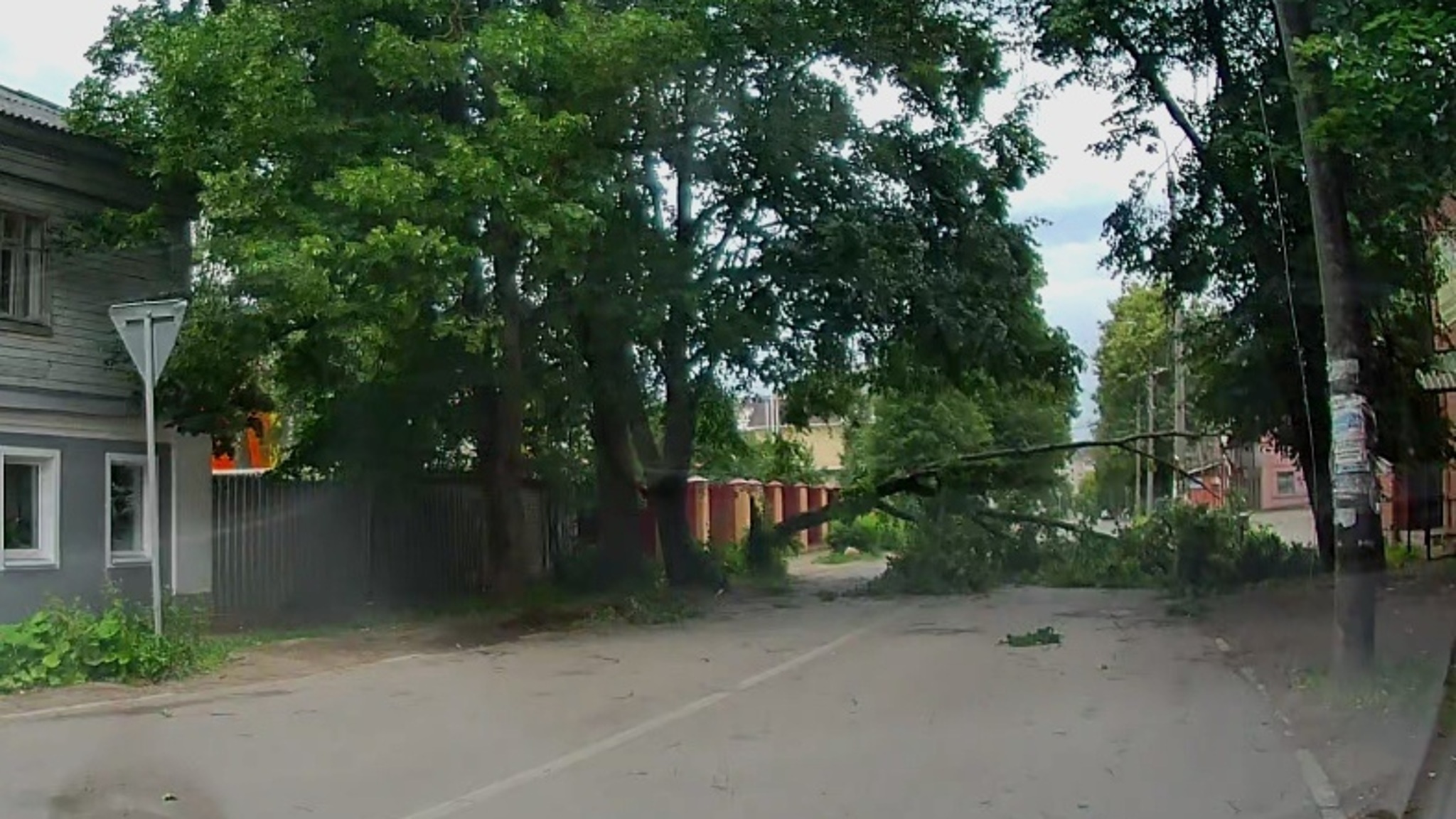 Во Владимирской области гроза повалила деревья и нарушила электроснабжение
