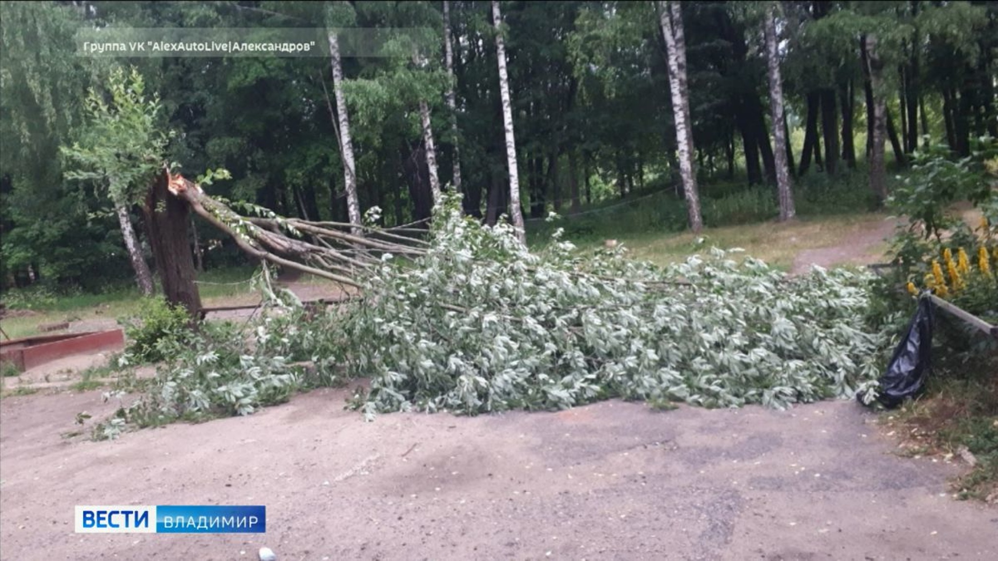 От урагана пострадали города западной части Владимирской области