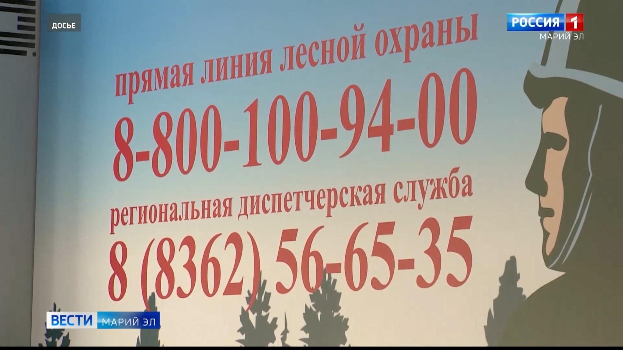 В 10 районах Марий Эл действует особый противопожарный режим