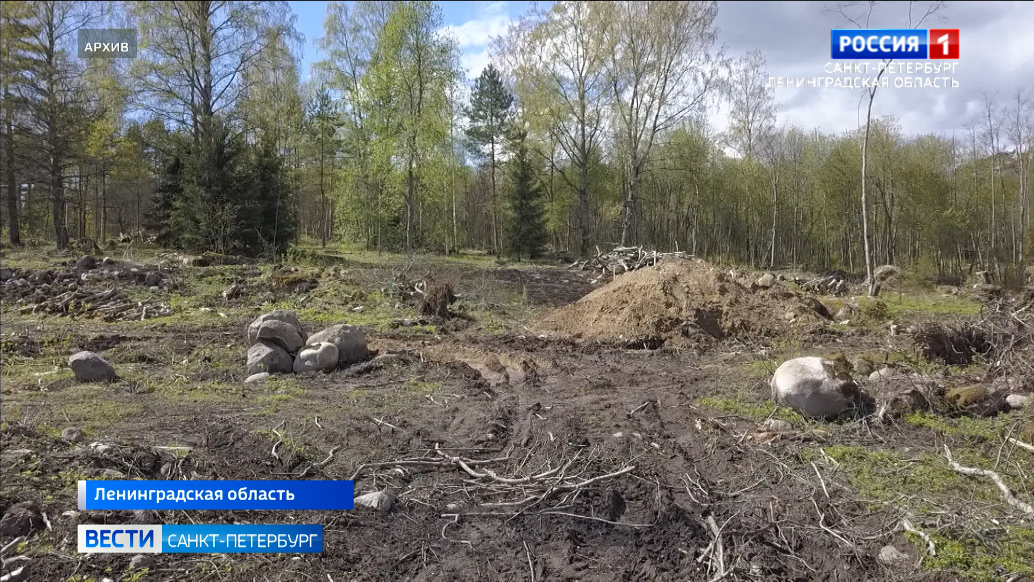 Древнее капище в Ольховке находится под угрозой исчезновения