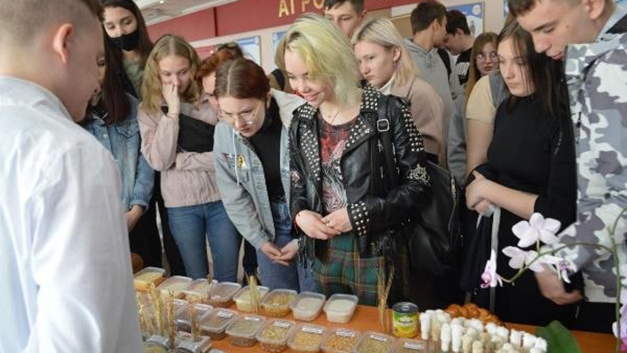 Профориентационные мероприятия для молодежи проводятся в регионе