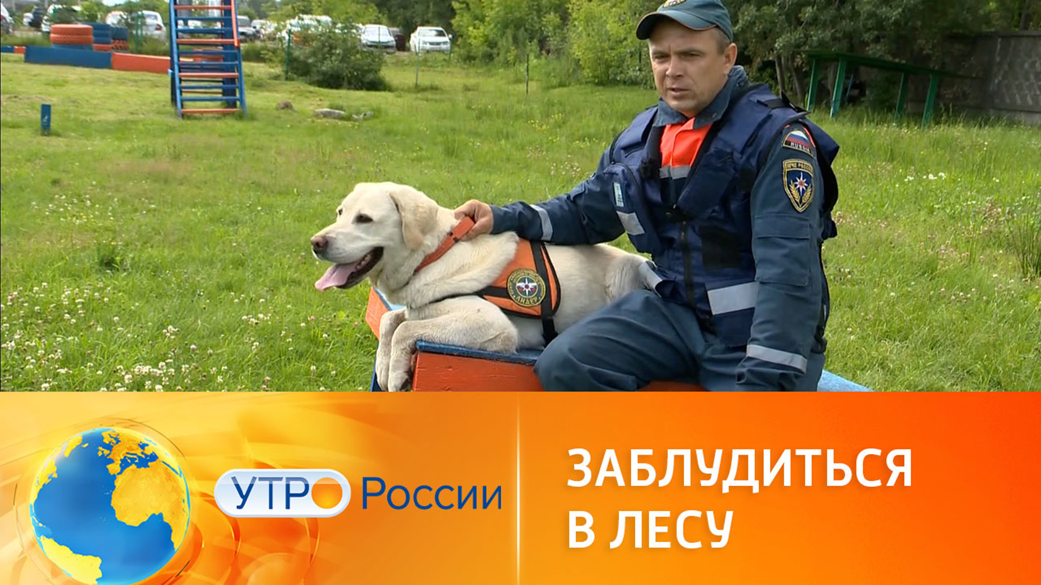 Не заблудиться во время грибного сезон