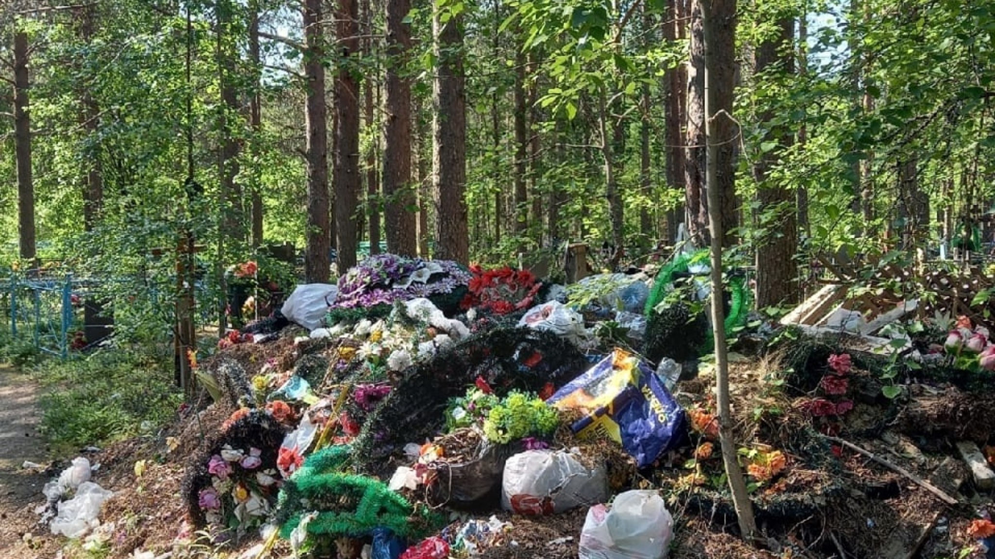 Кладбища в районах Карелии очистили от мусора