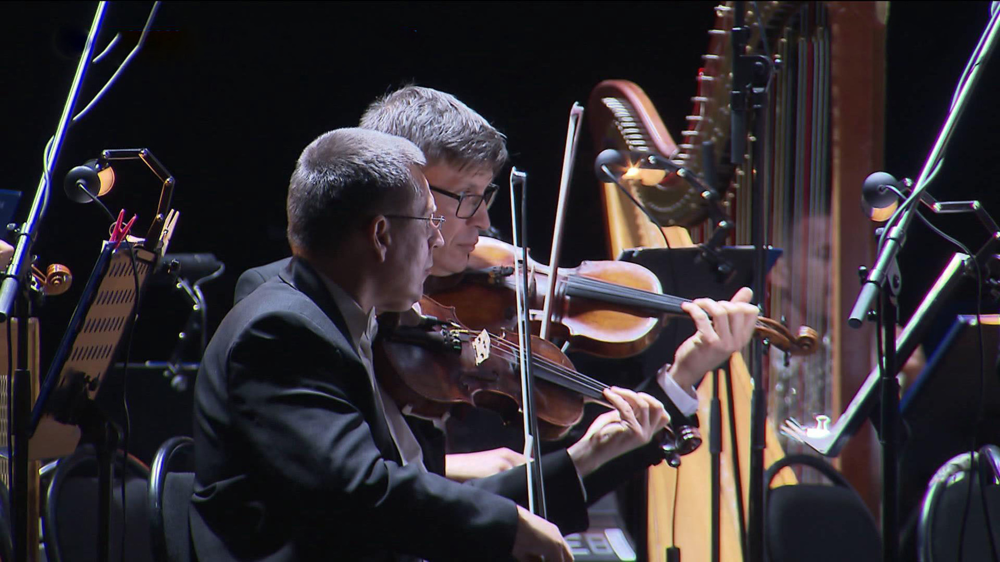 "Лето. Музыка. Музей": в Истре проходит музыкальный фестиваль под открытым небом