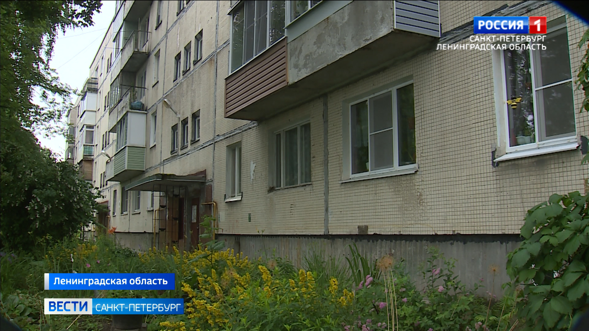Жители Всеволожска уже пять лет борются за спокойный сон