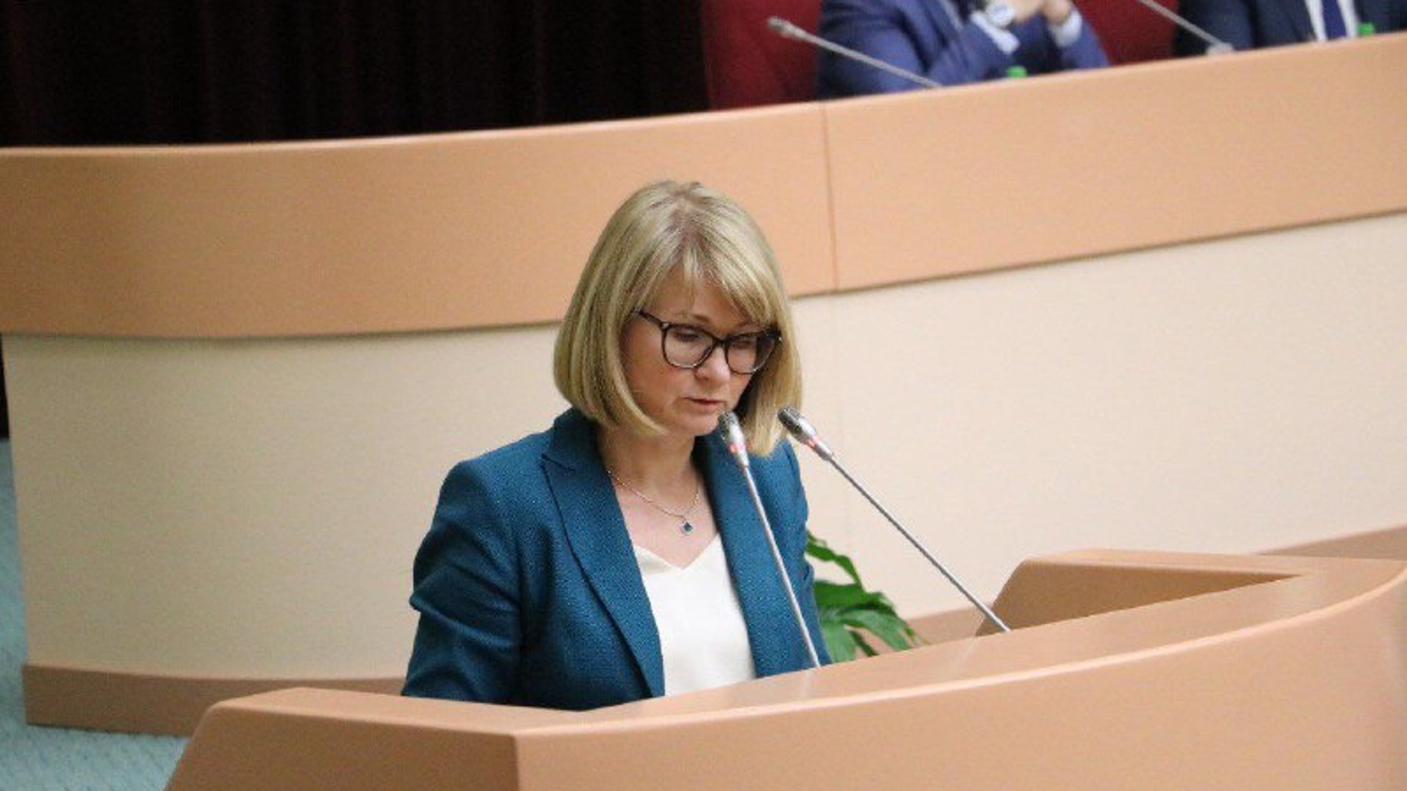 Саратовская областная Дума утвердила День ветеранов боевых действий