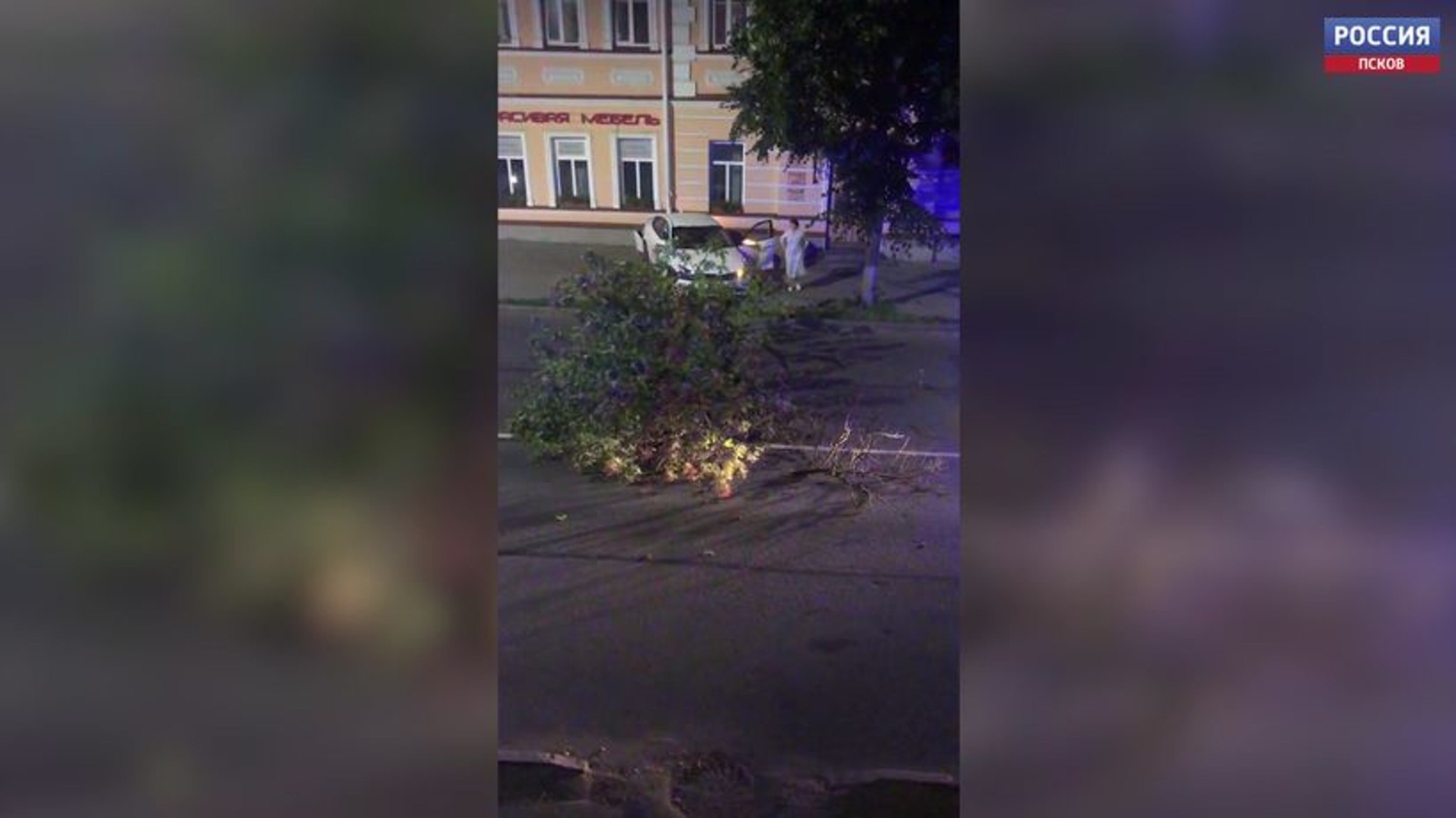 В Пскове нетрезвая автоледи протаранила дерево