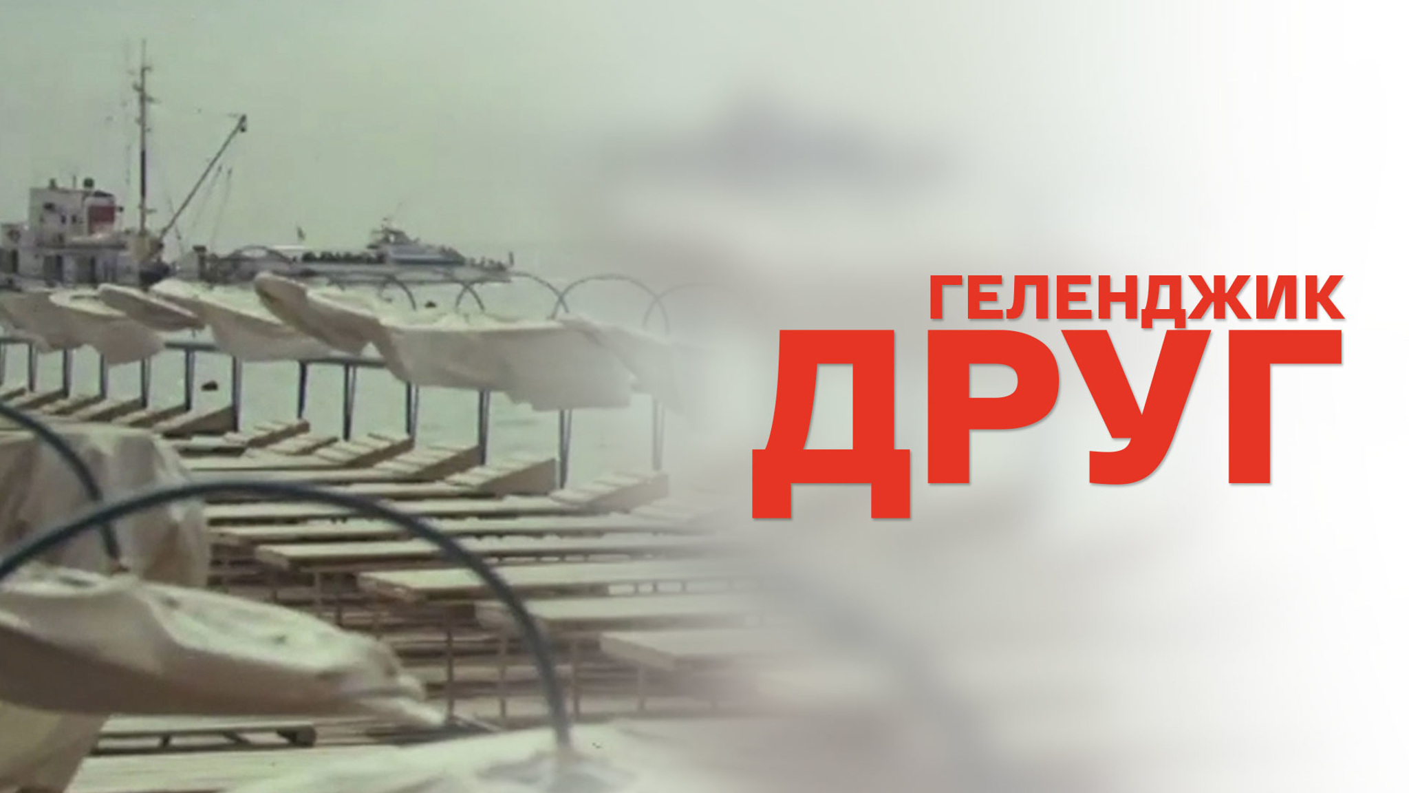 Друг Геленджик