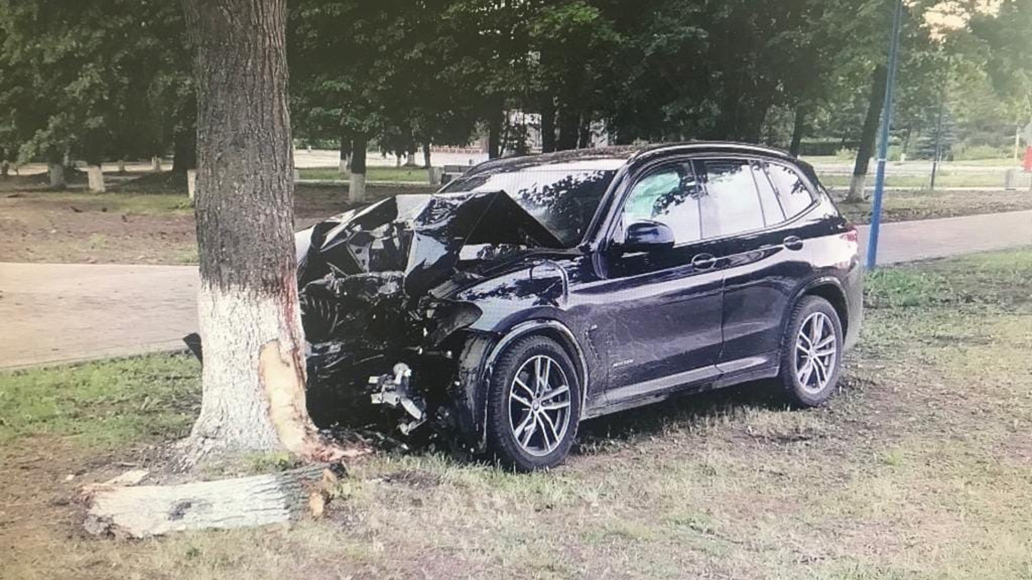 В Муроме 20-летний водитель на BMW врезался в дерево