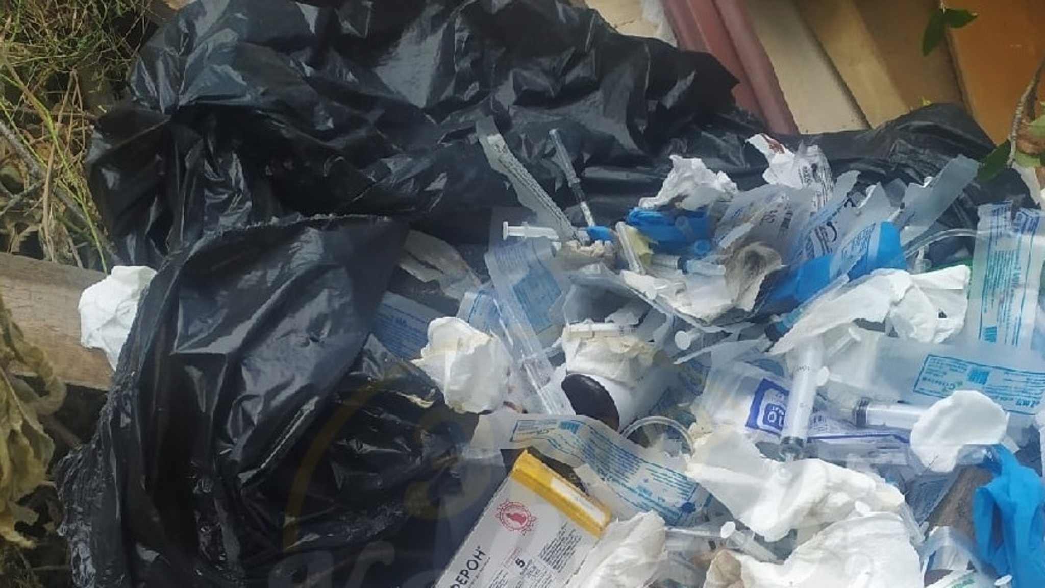В Коврове обнаружена свалка ветеринарных медицинских отходов