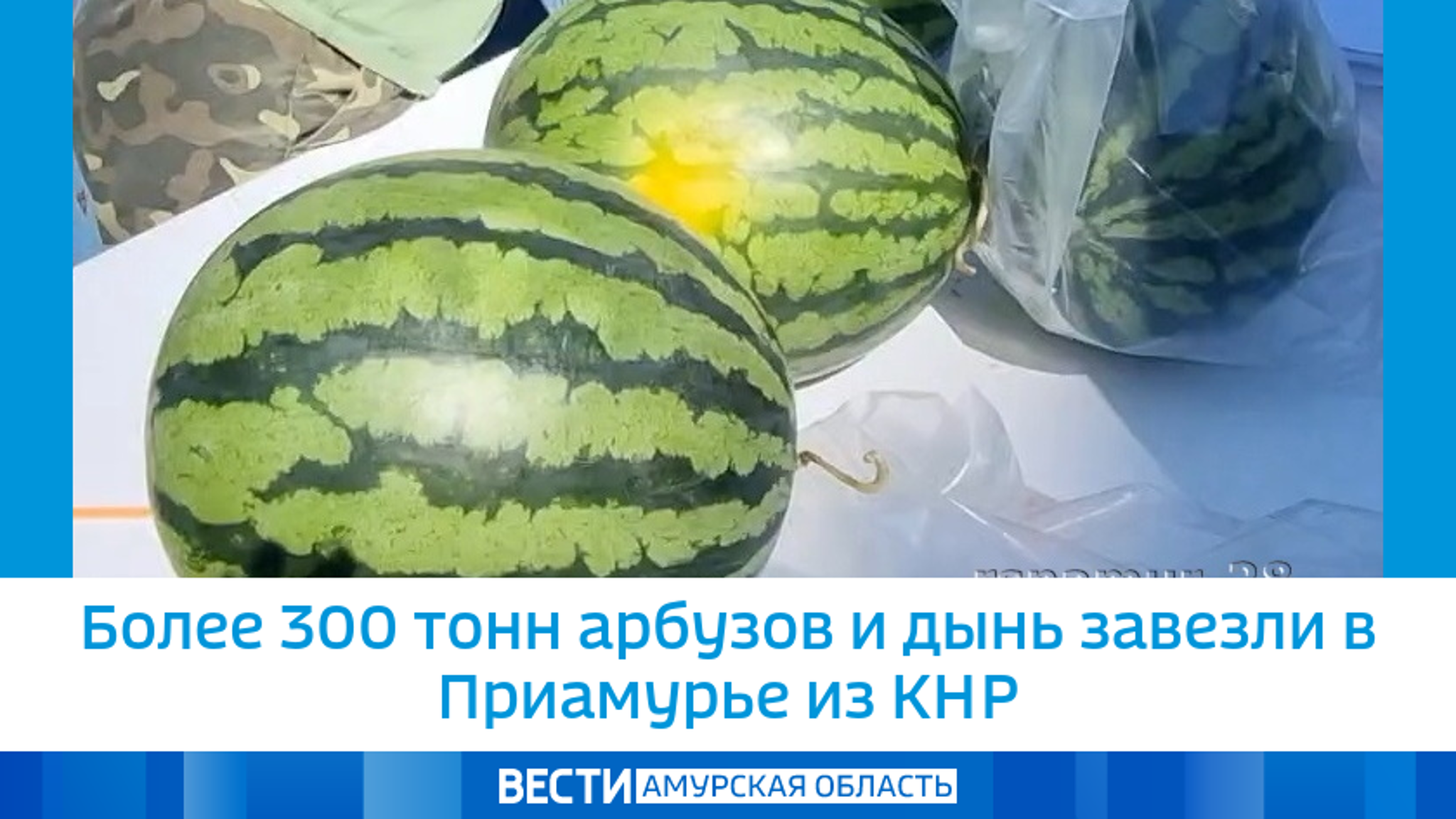 Более 300 тонн арбузов и дынь завезли в Приамурье из КНР