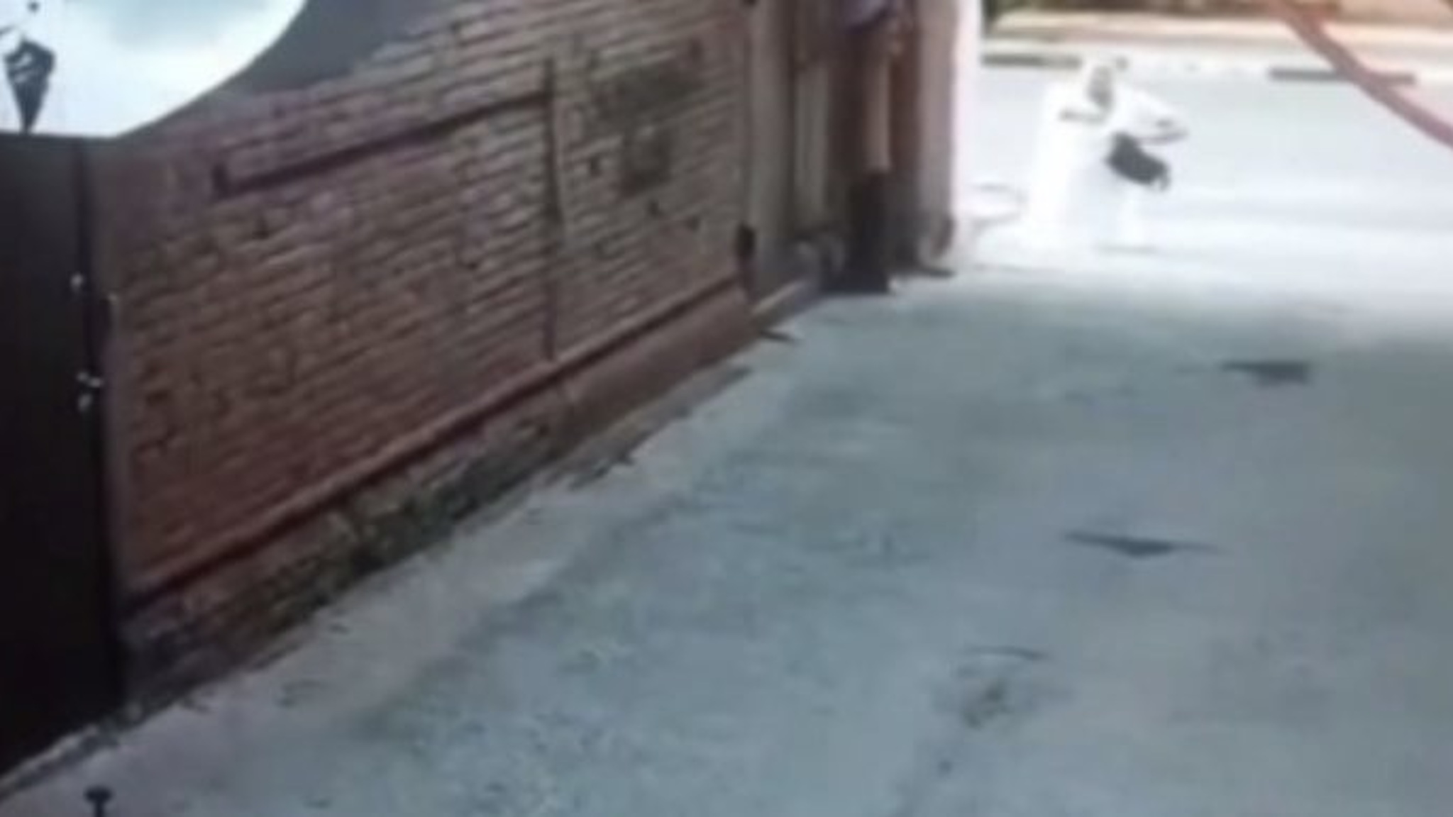 В Энгельсе задержали подозреваемого в уличных грабежах