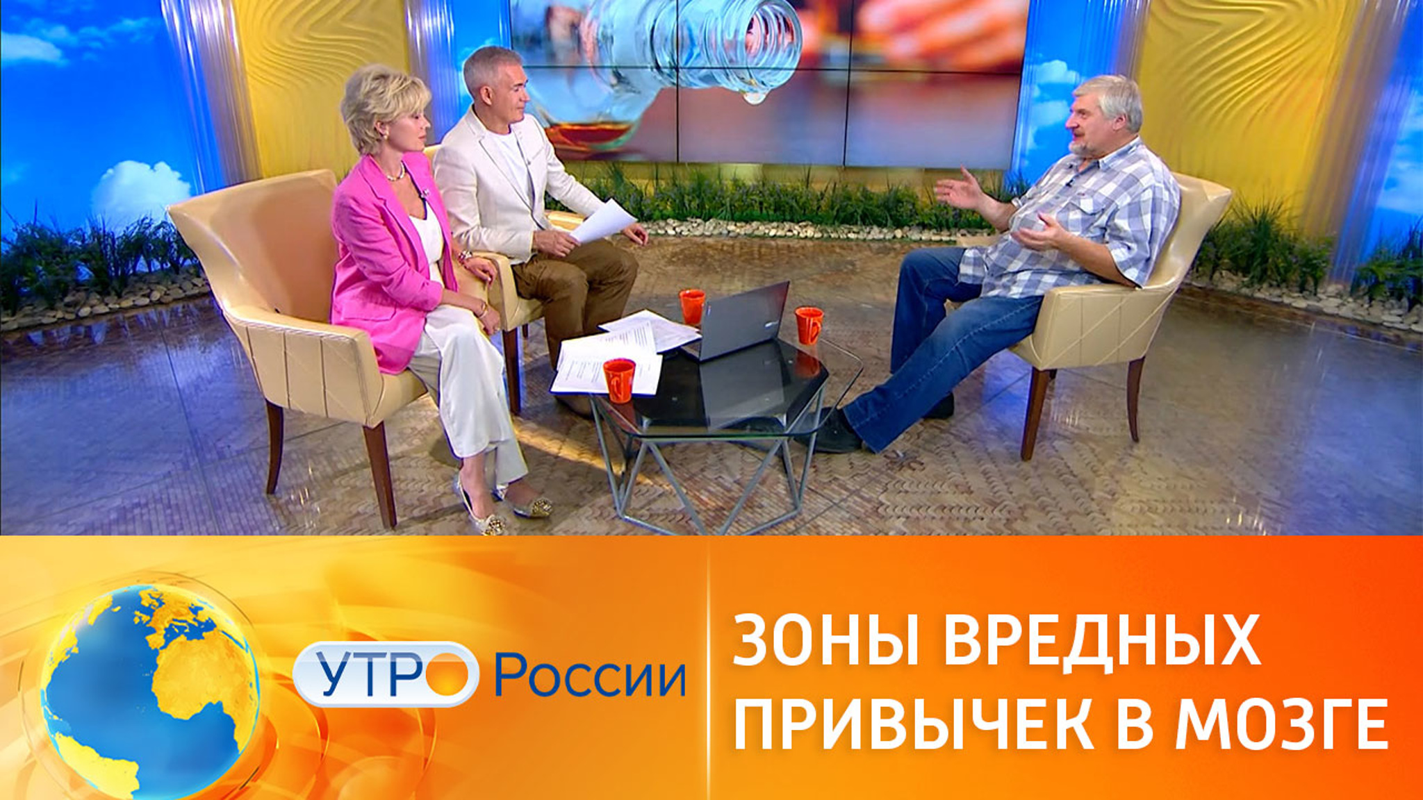 Зоны вредных привычек в мозге человека