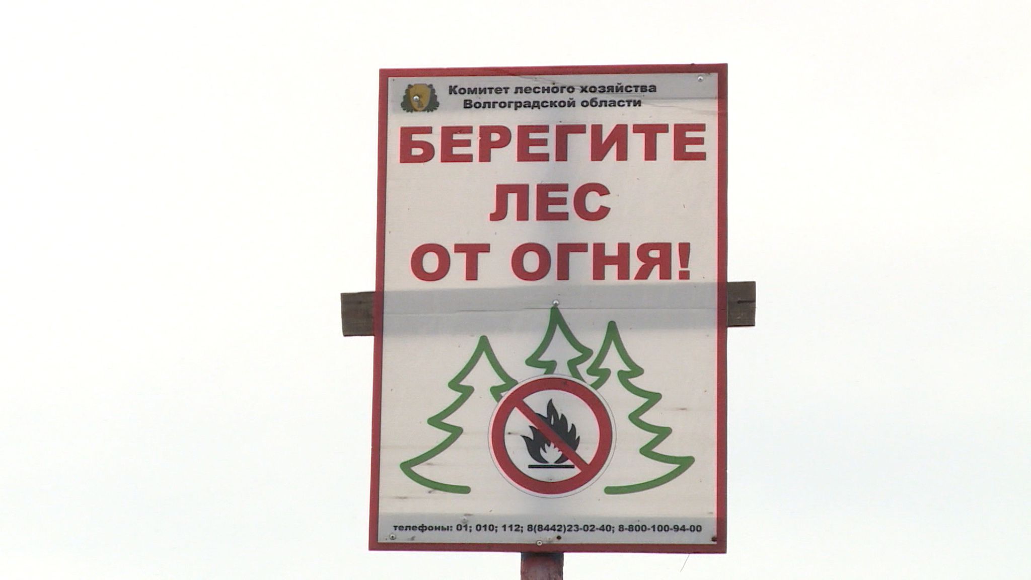 В Волгоградской области продлили режим ограничения на посещение лесов
