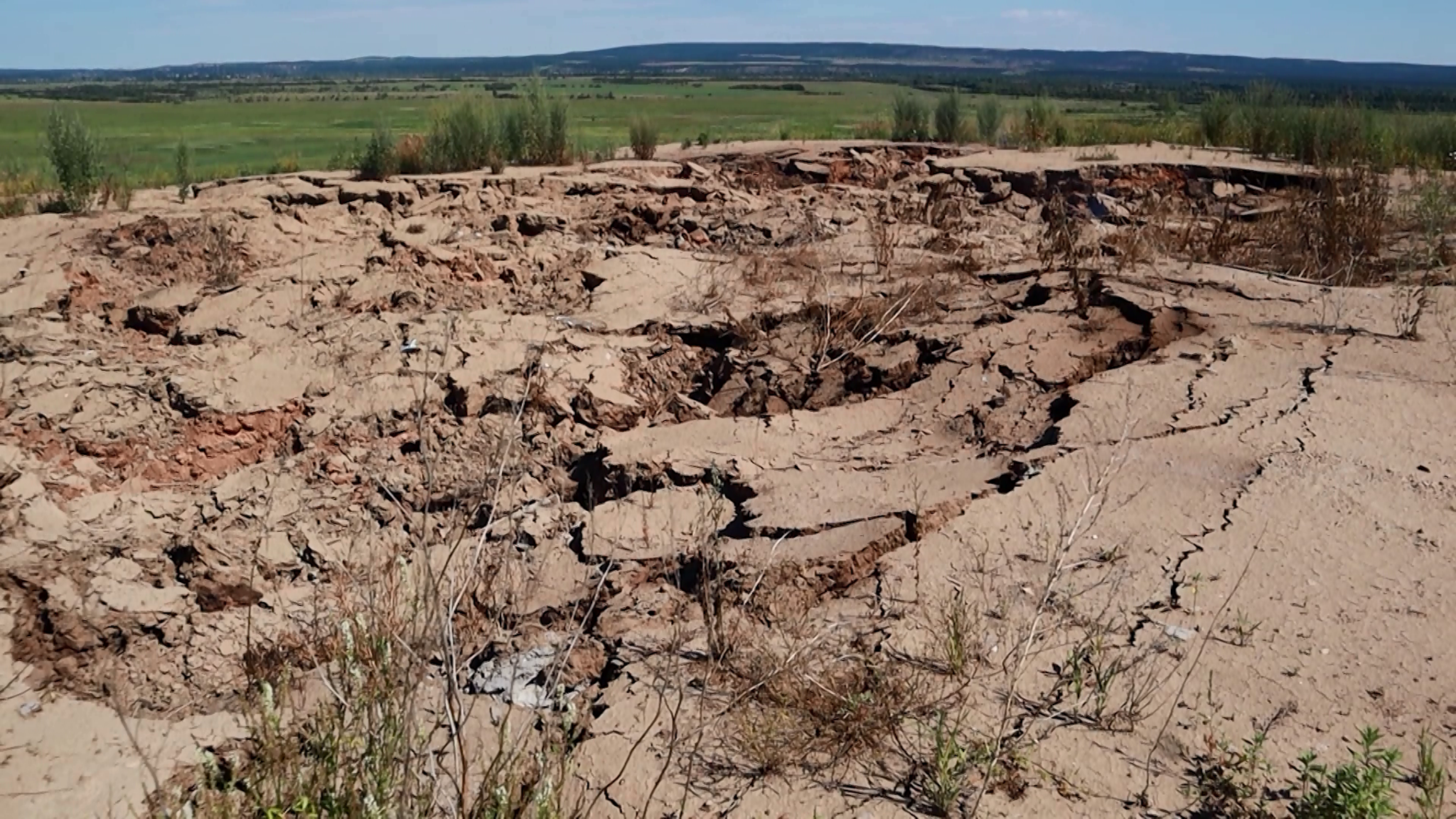 В Канском районе проснулся лигнин