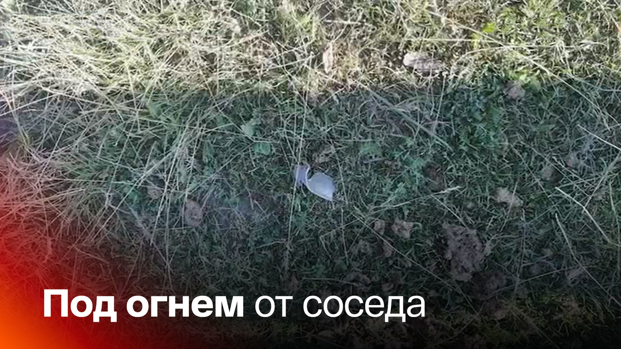 ВСУ обстреляли село в Брянской области