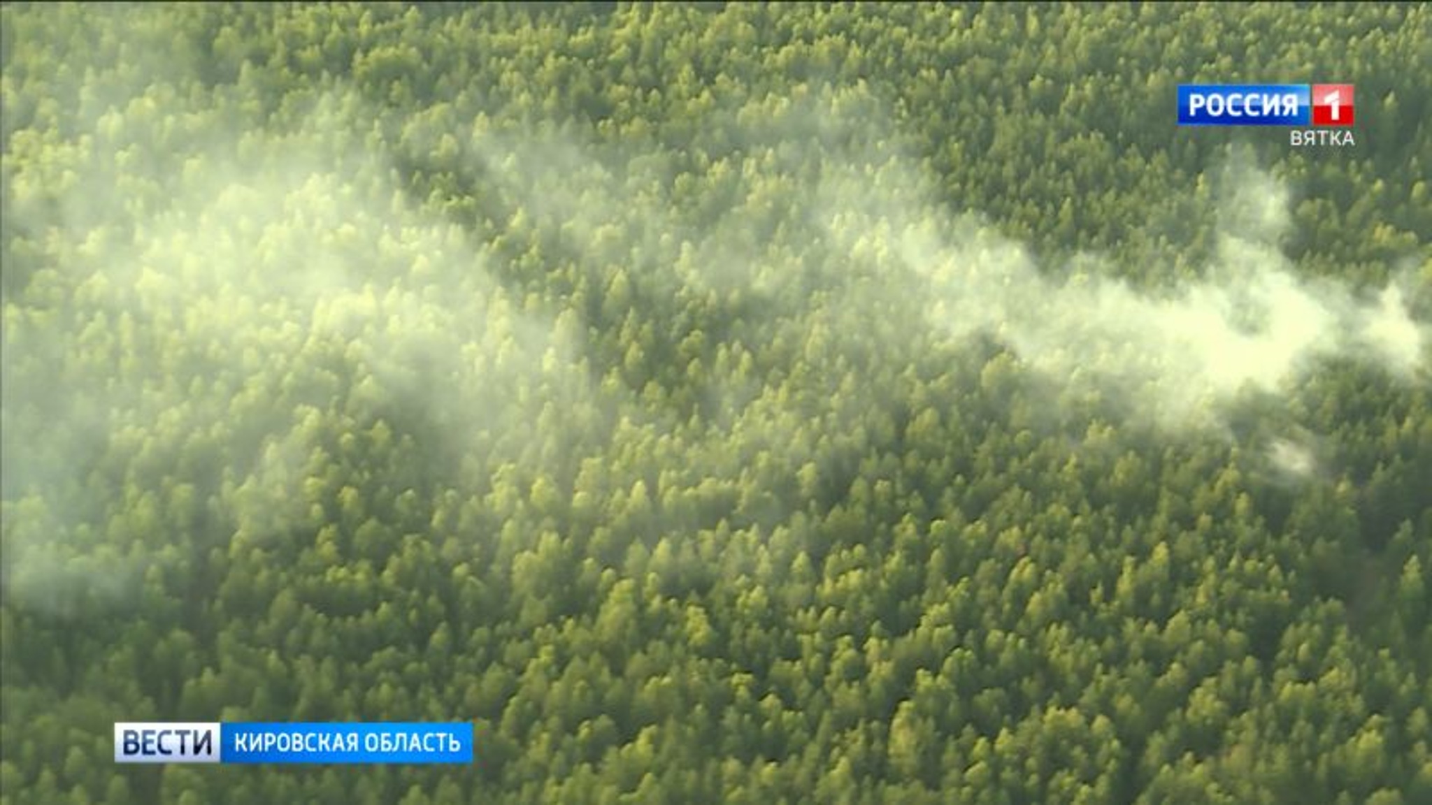 В Парковом лесничестве Кировской области летчик-наблюдатель заметил огонь