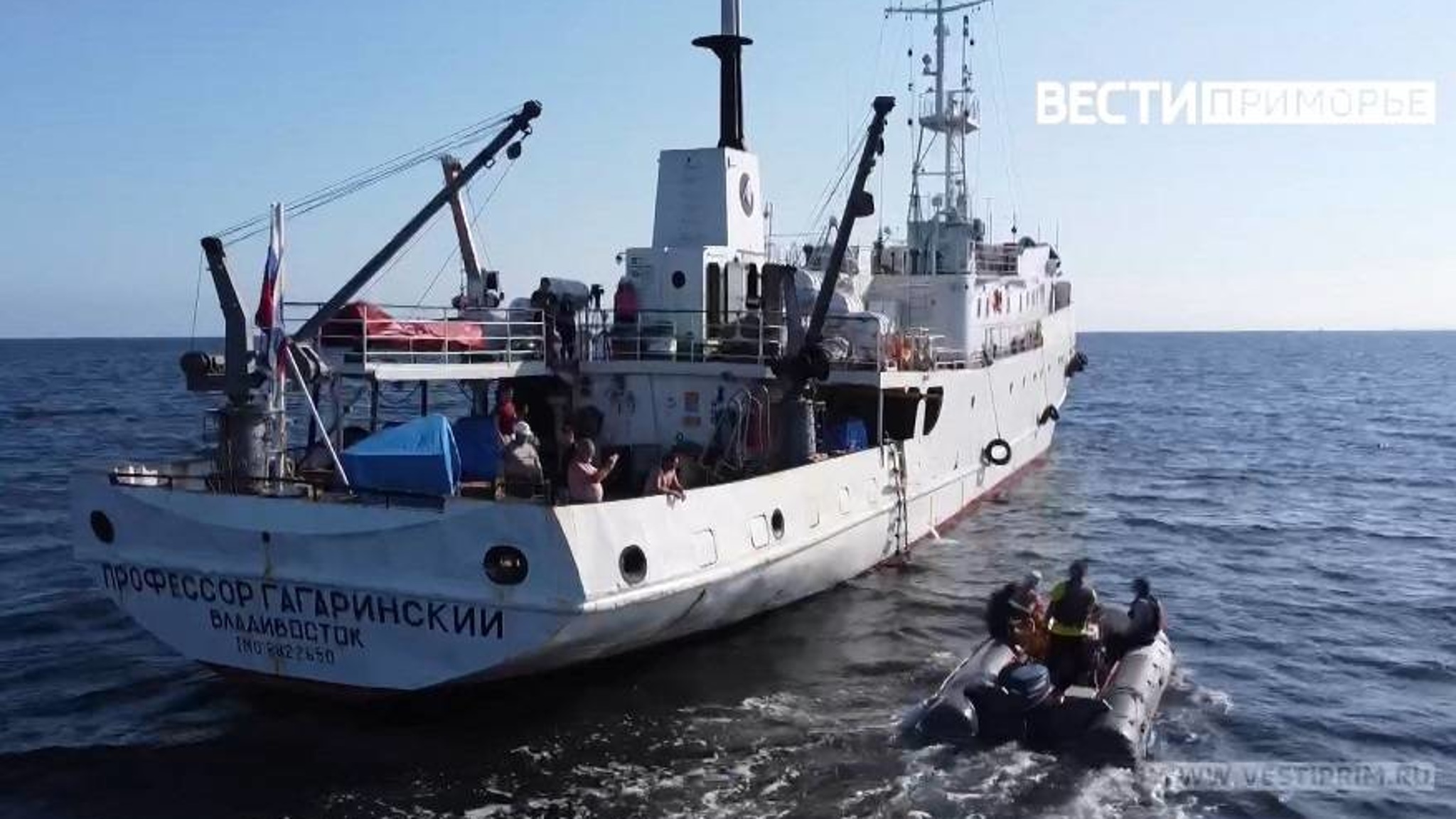 «Это сенсация»: Мертвые зоны обнаружены в заливе Петра Великого