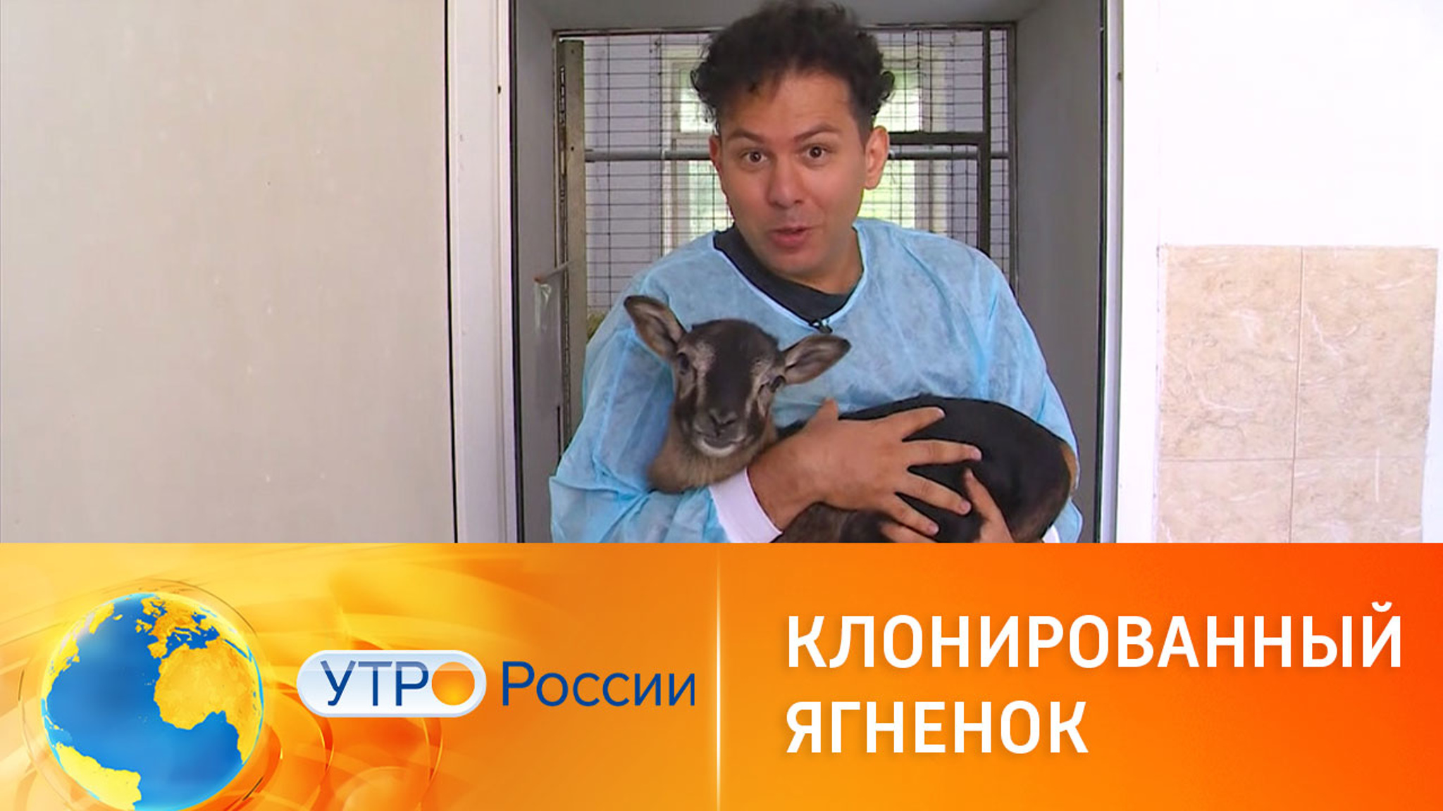 Российские генетики клонировали ягненка