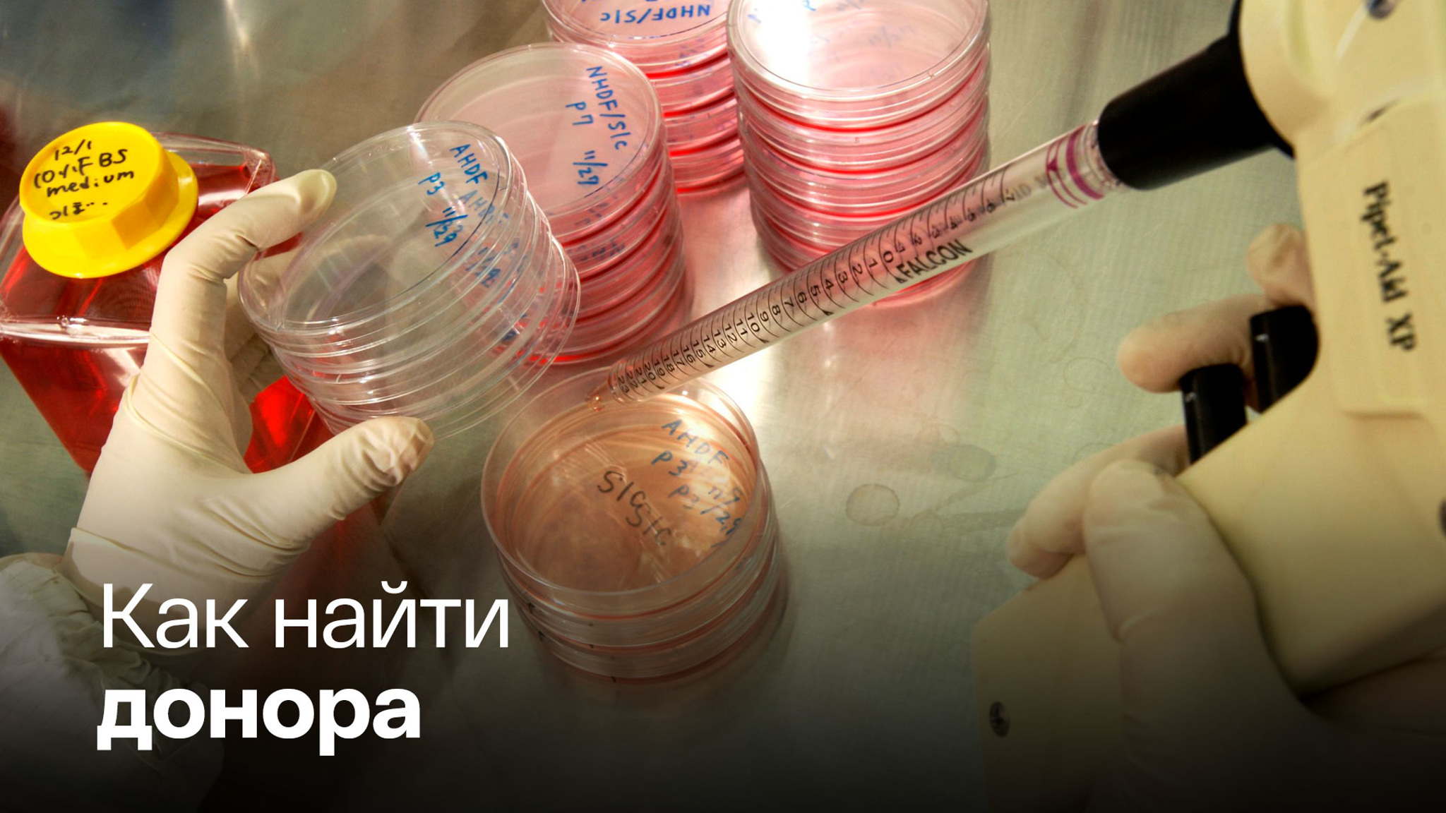 Мишустин и Скворцова о цене спасенной жизни