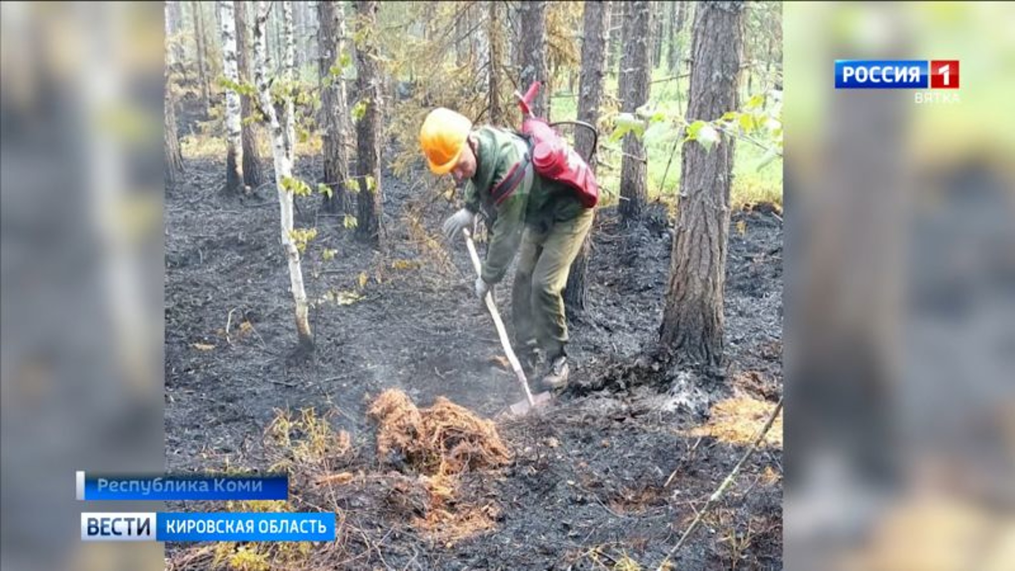 Кировские огнеборцы помогают коллегам в Коми тушить лес