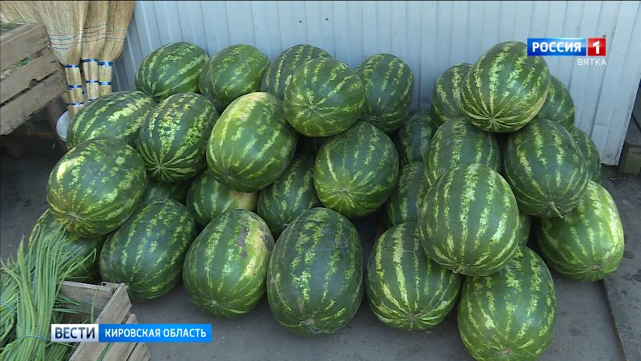В Кирове начался сезон арбузов
