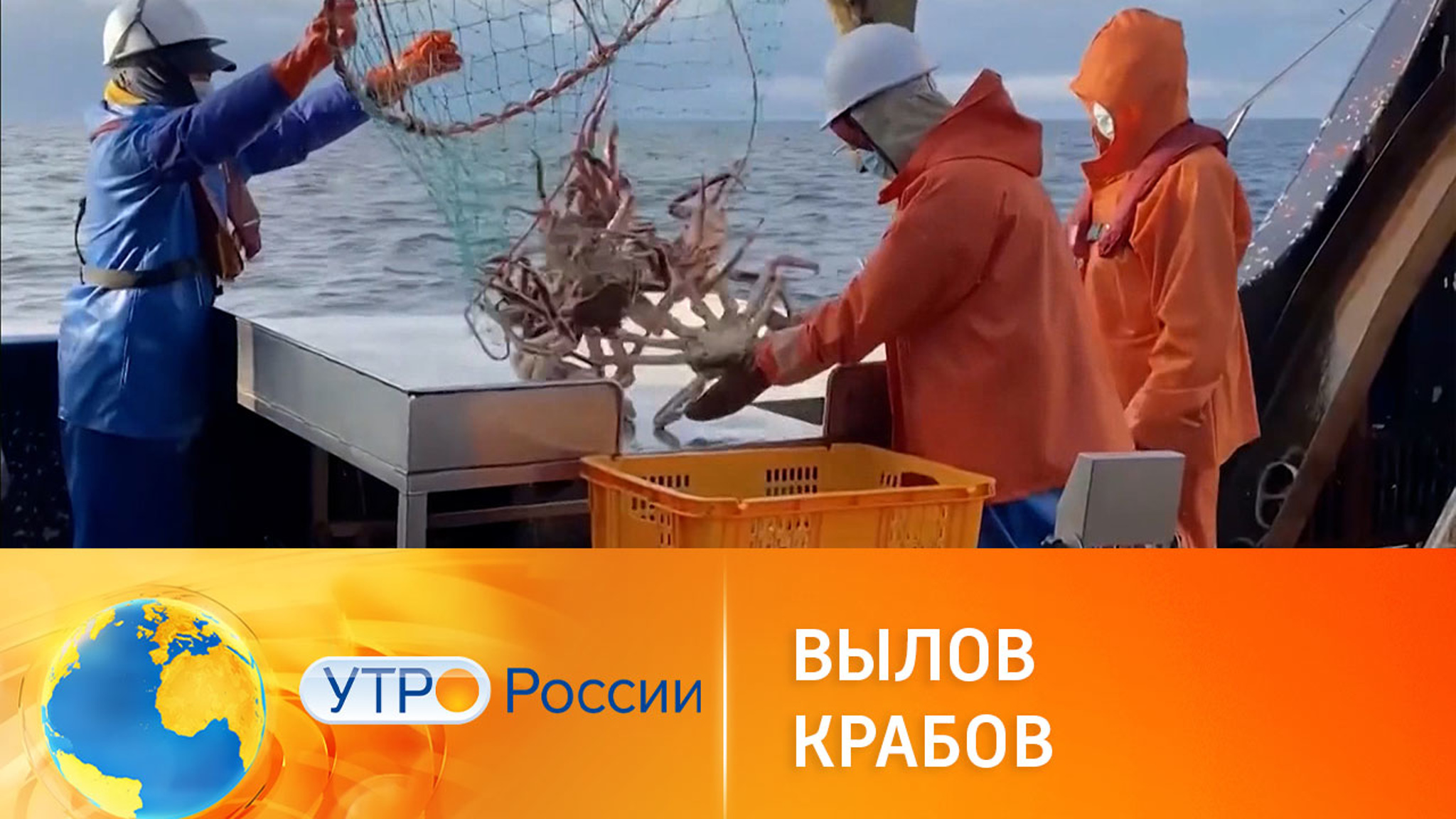 Почему пойманные в России крабы оказываются за границей?