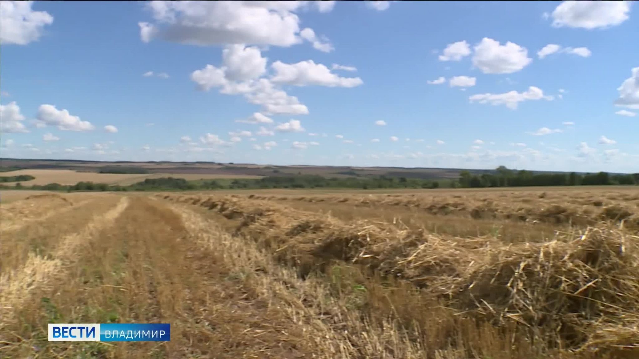 На круглом столе во Владимире обсудили пути развития агропромышленного комплекса