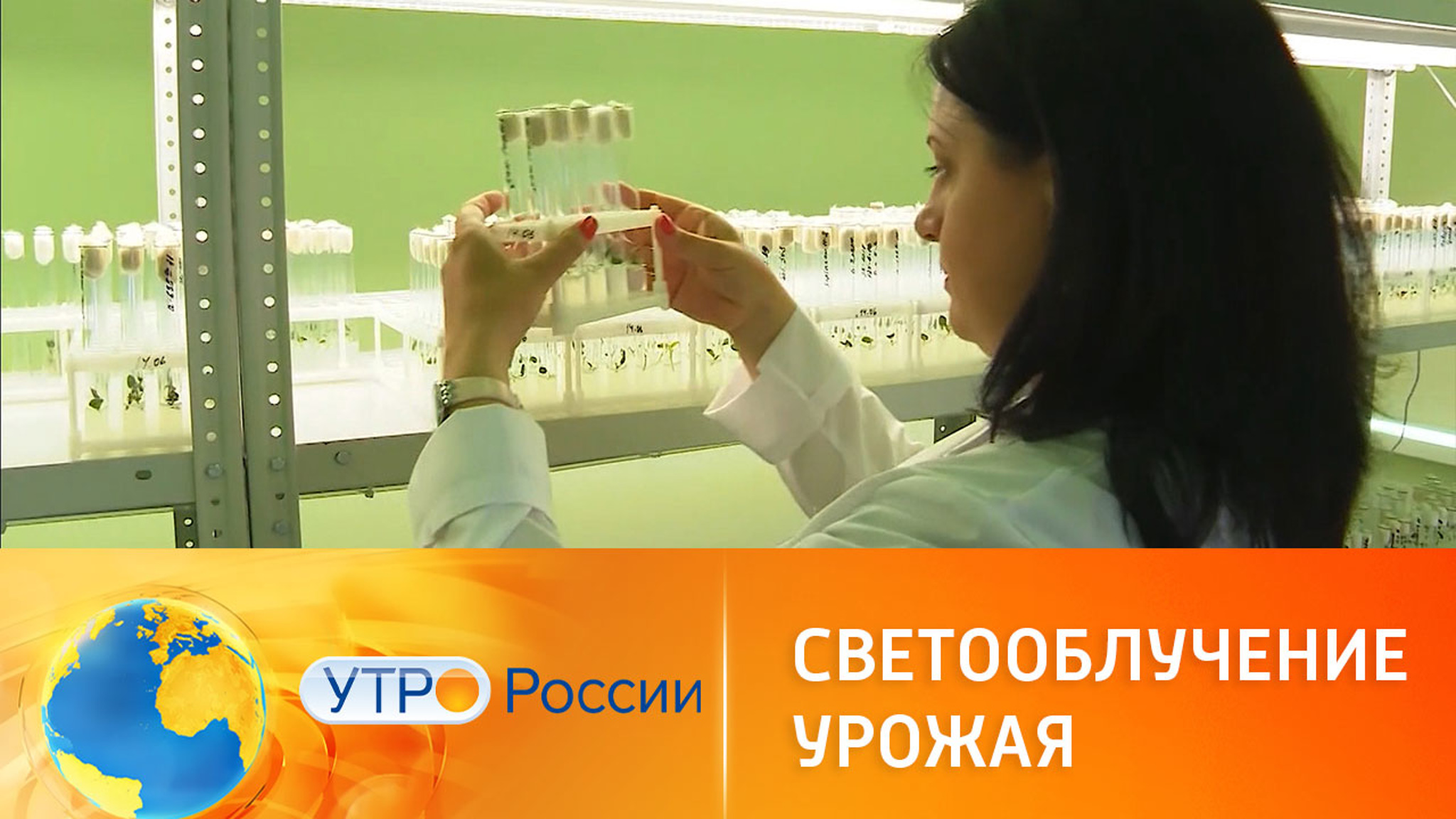 Возможности светодидов для повышения урожайности
