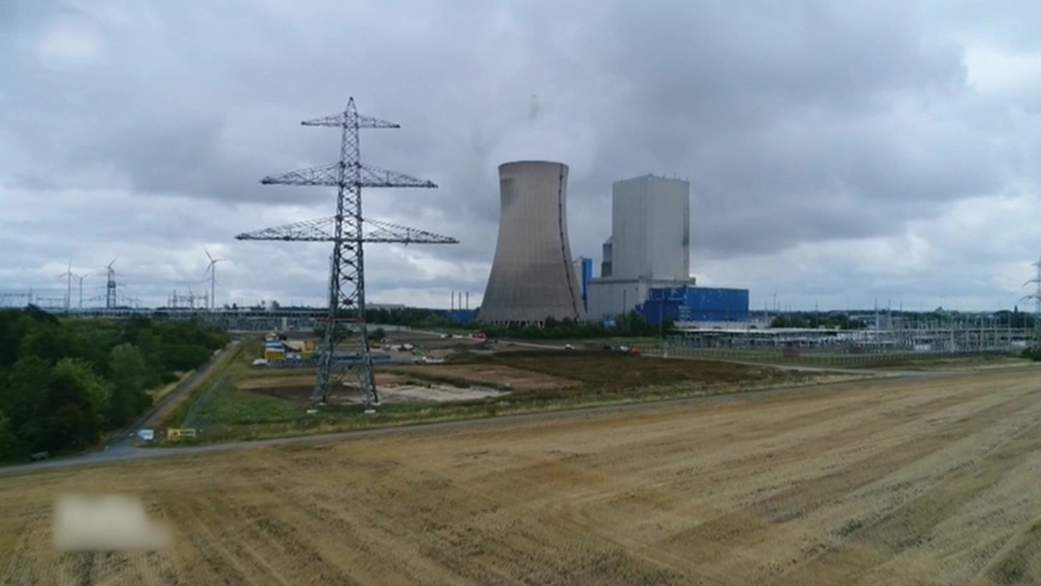 Жителям немецких городов советуют развивать кошачье зрение