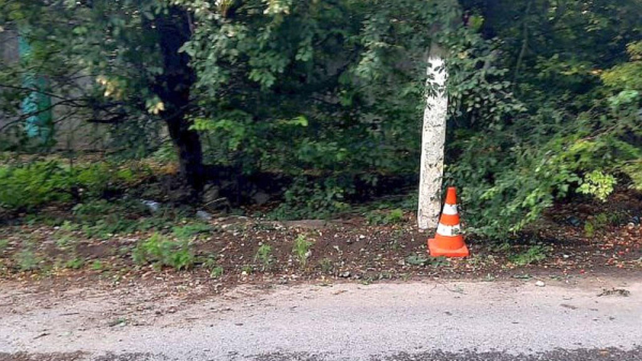 На Ставрополье пьяный байкер не разъехался с деревом