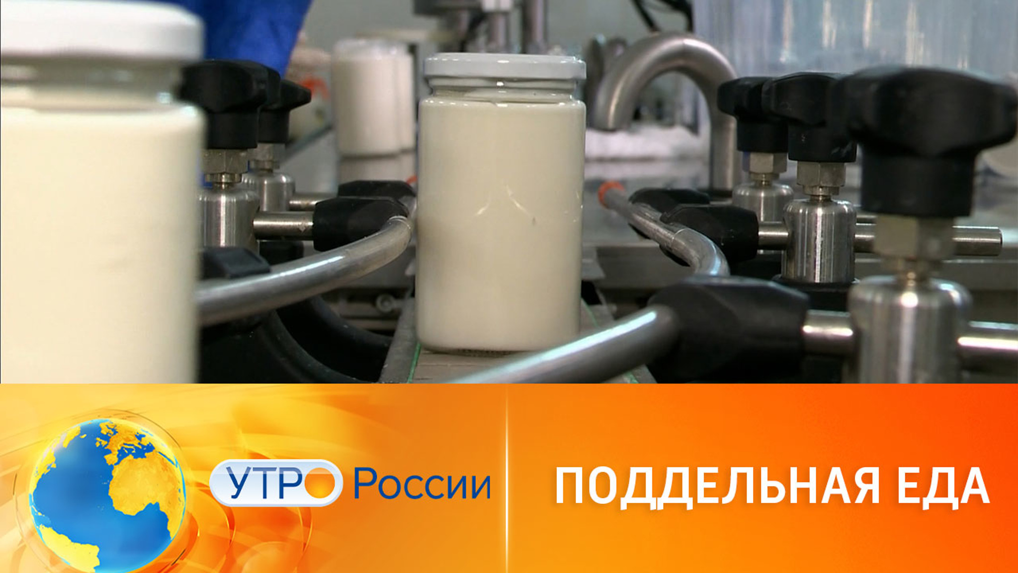 Фальсификация продуктов: как с ней бороться