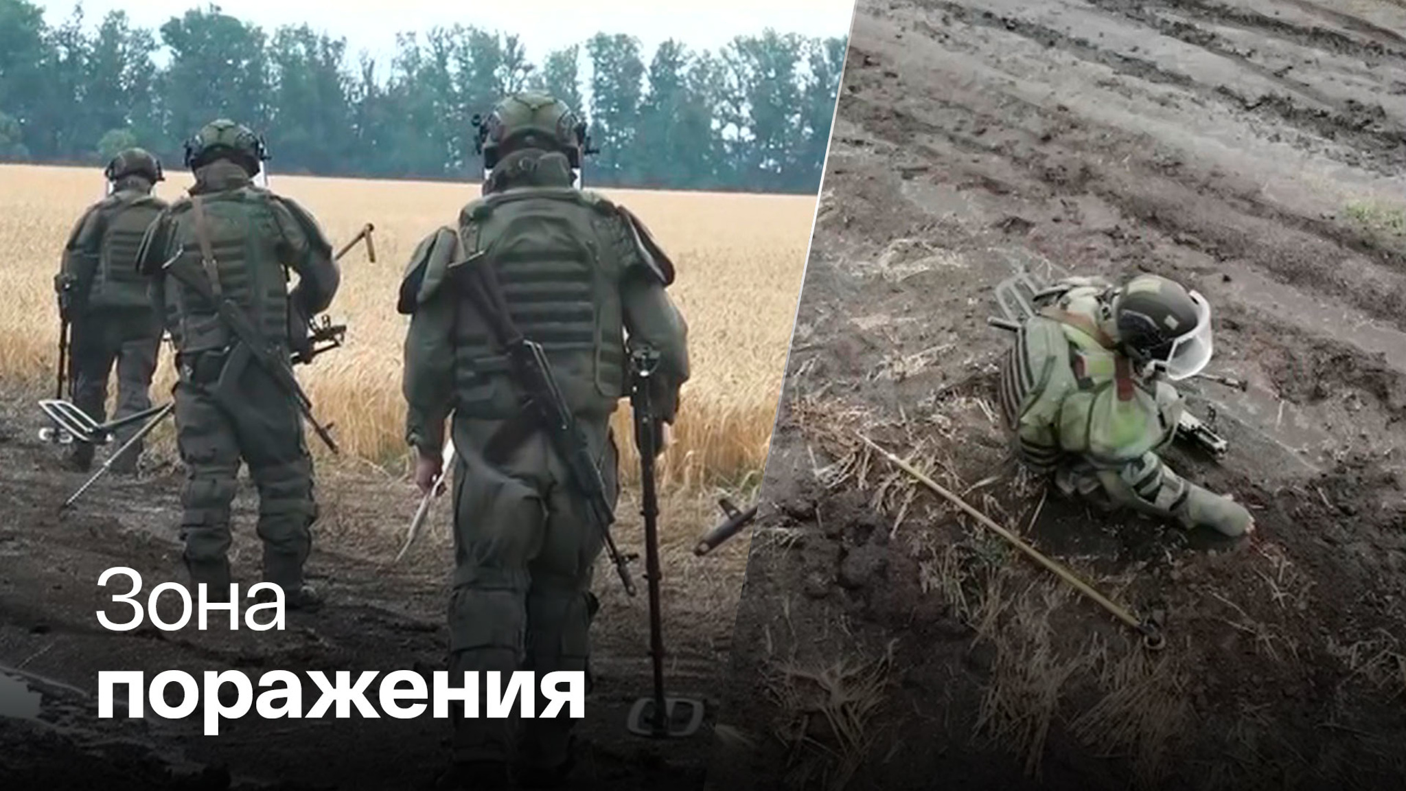 Пшеничные поля Донбасса очищают от украинских мин