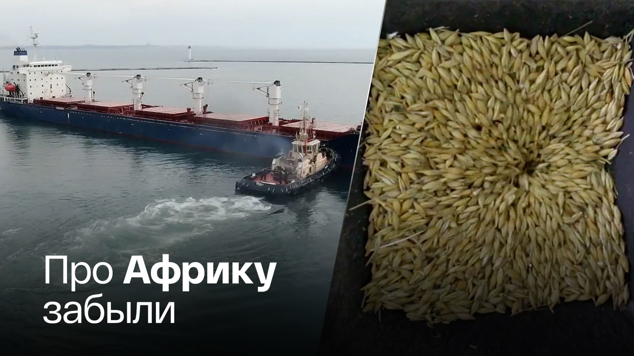 Украинское зерно везут куда-то не туда