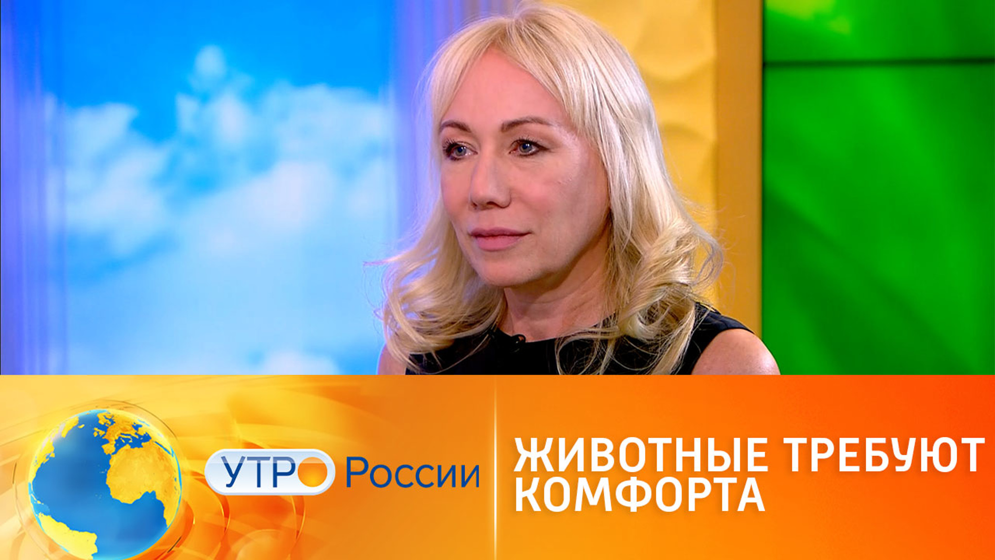 Не вещь: каким правовым статусом обладают животные