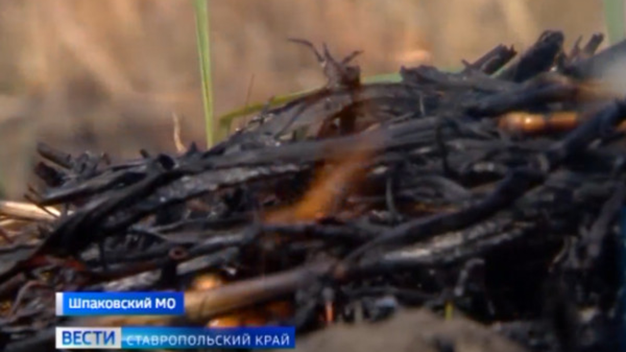 На Ставрополье усилилась угроза природных пожаров