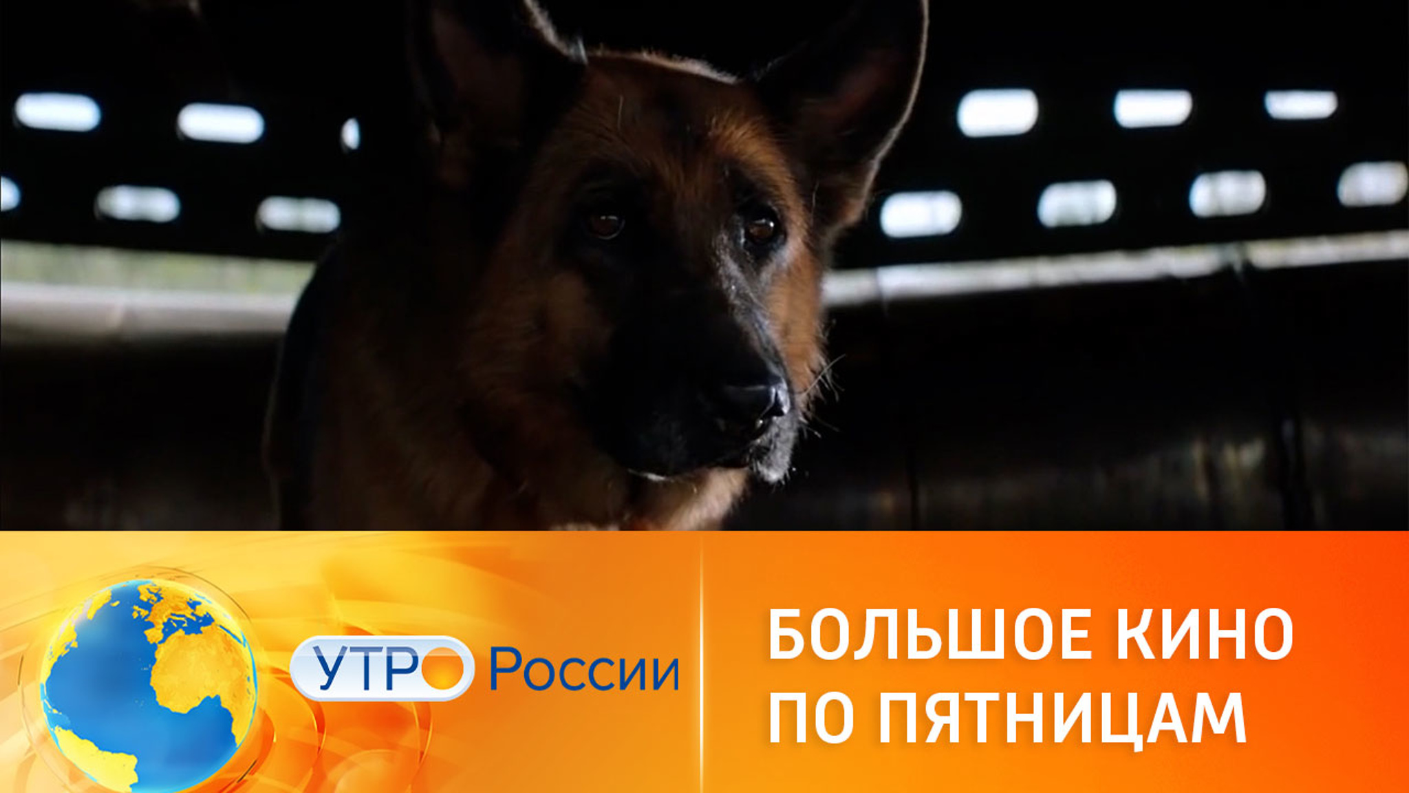 Канал "Россия 1" покажет фильмы "Пальма" и "Лёд"