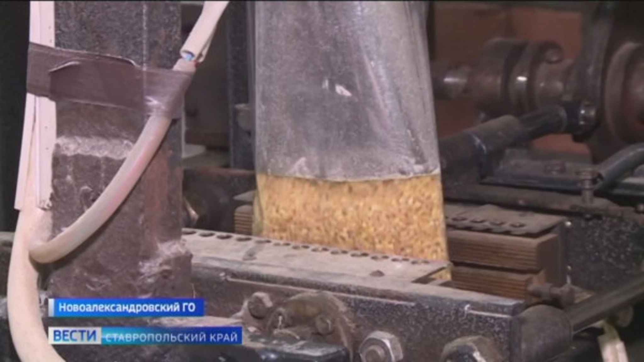 На Ставрополье возрождают старинные рецепты
