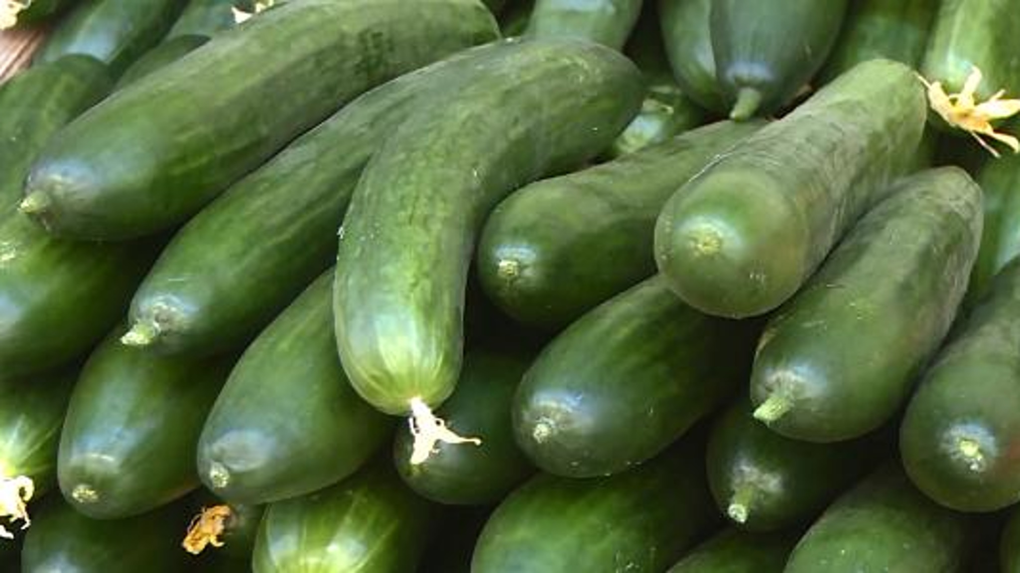 Какие продукты из нового урожая уже на пензенских прилавках и что с ценами