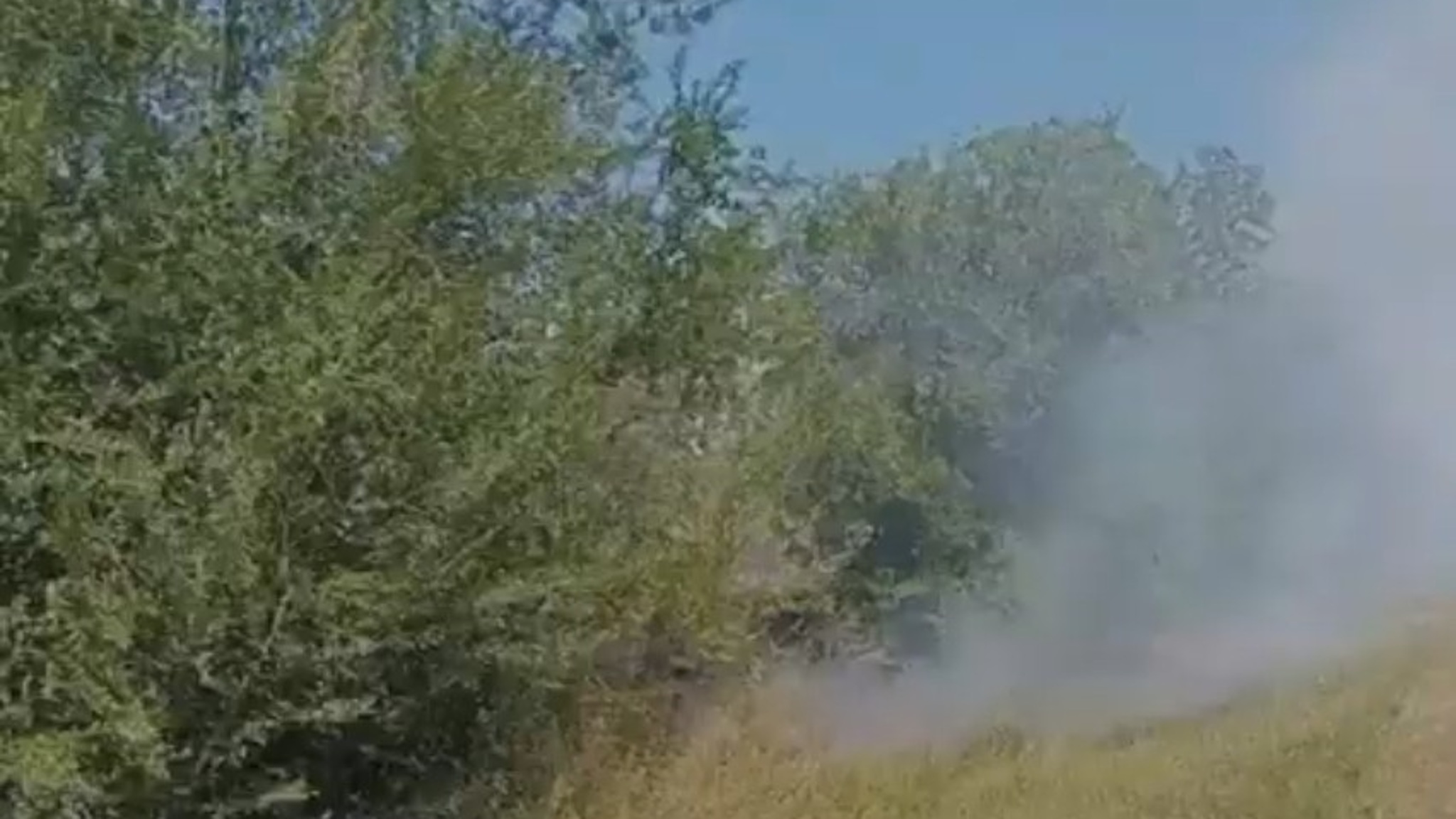 Рядом с селом Малая Тополевка загорелась трава