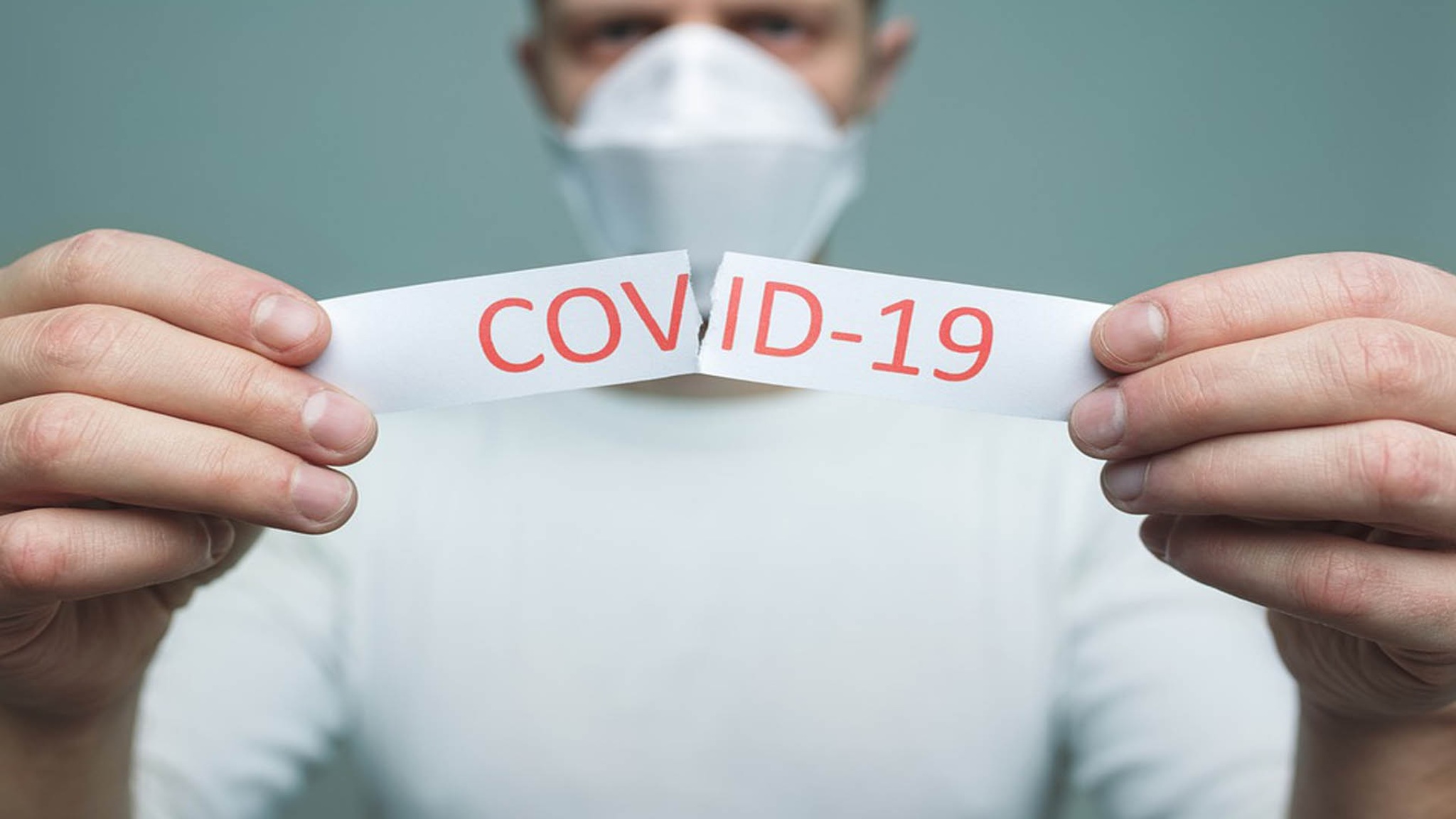 В Ярославской области еще 88 человек заболели COVID-19